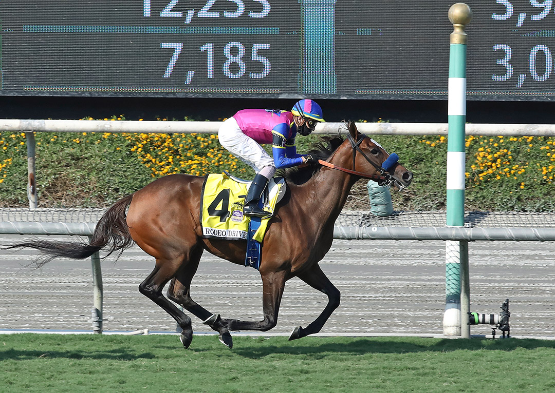 Mucho Unusual wins the 2020 Rodeo Drive Stakes at Santa Anita
