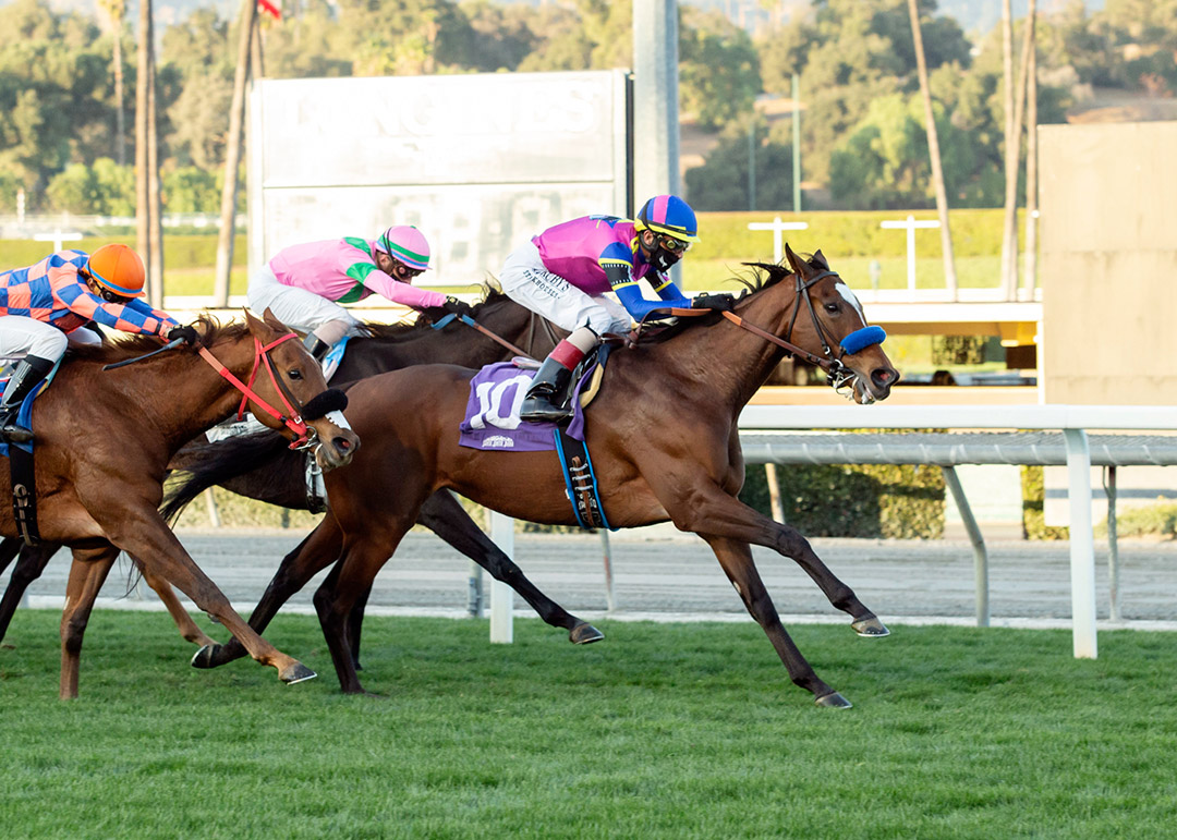 Mucho Unusual wins the 2020 Robert Frankel Stakes at Santa Anita