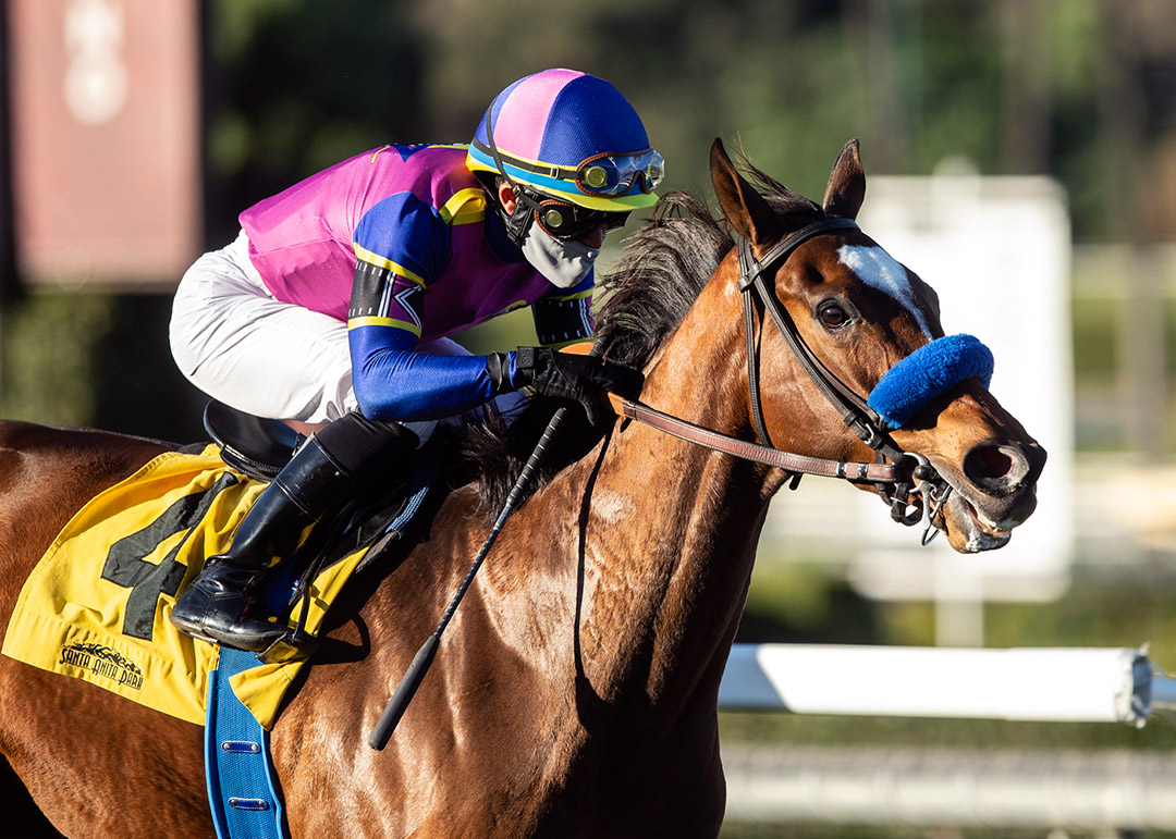 Mucho Unusual wins the 2021 Megahertz Stakes at Santa Anita