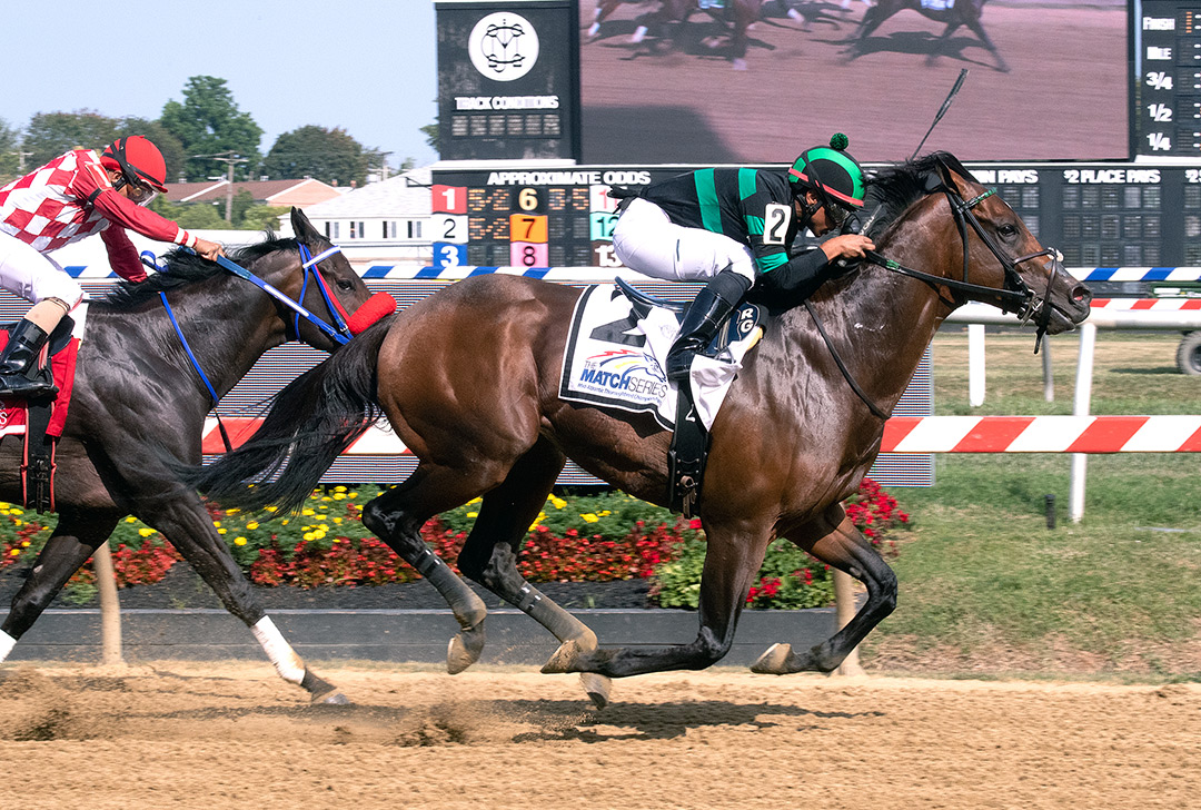 Mucho wins the 2021 Challedon Stakes at Pimlico Race Course