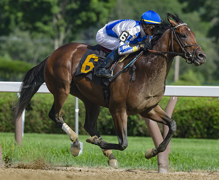 Mucho wins an Aug. 4 maiden race