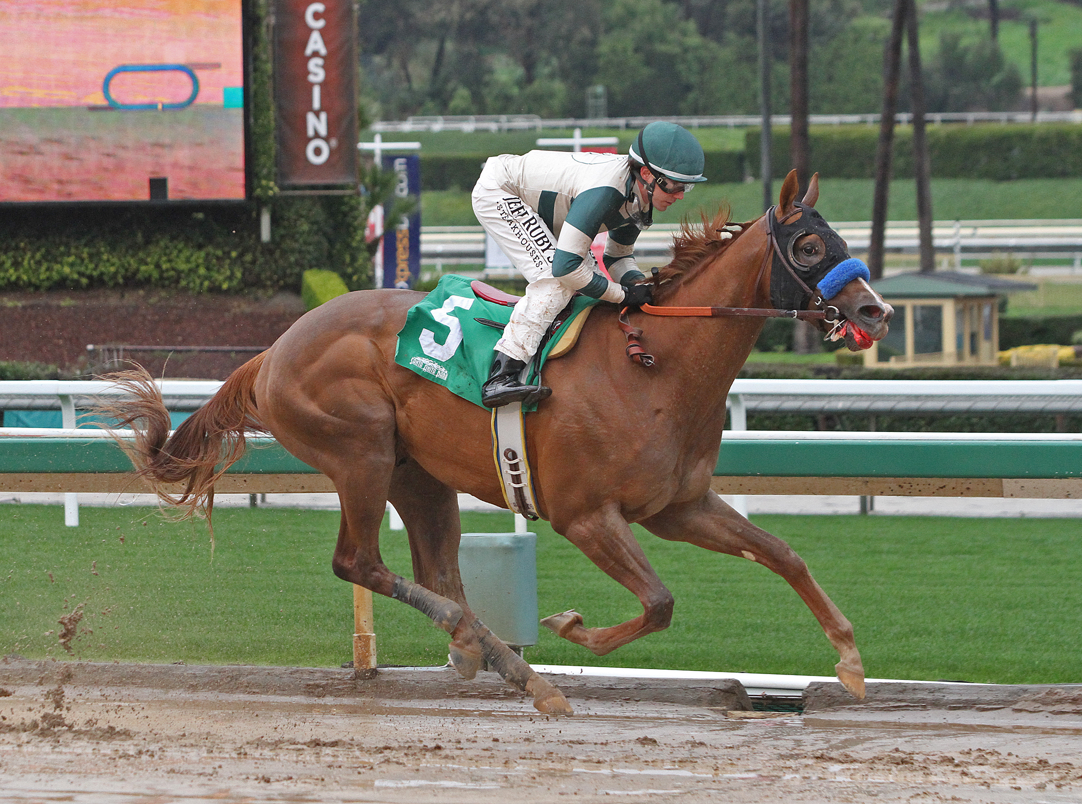 Mucho Gusto wins 2019 Robert B.Lewis Stakes