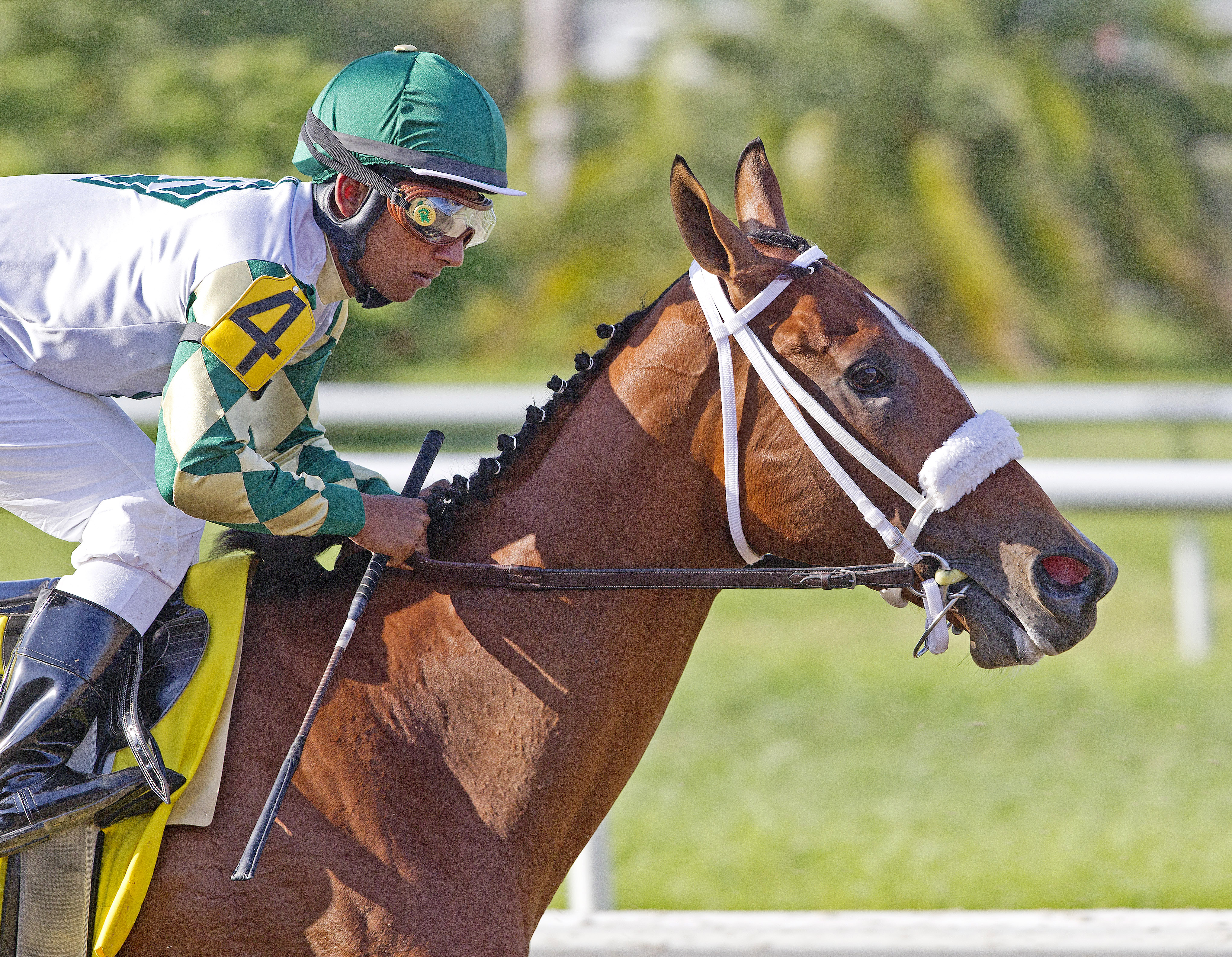 Mucho Macho Man, March 2011