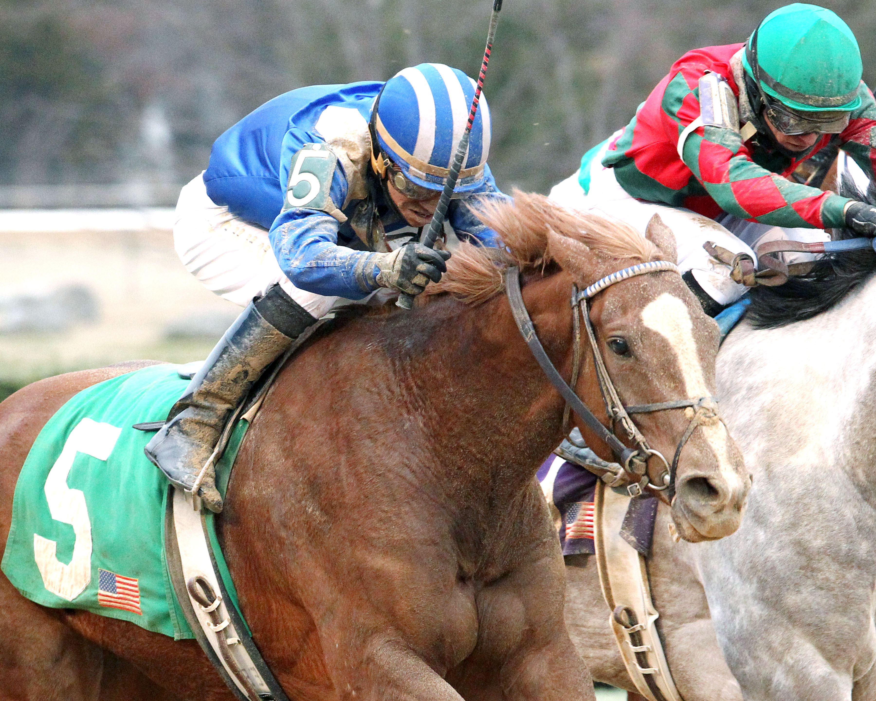 Mufajaah wins 2015 Bayakoa