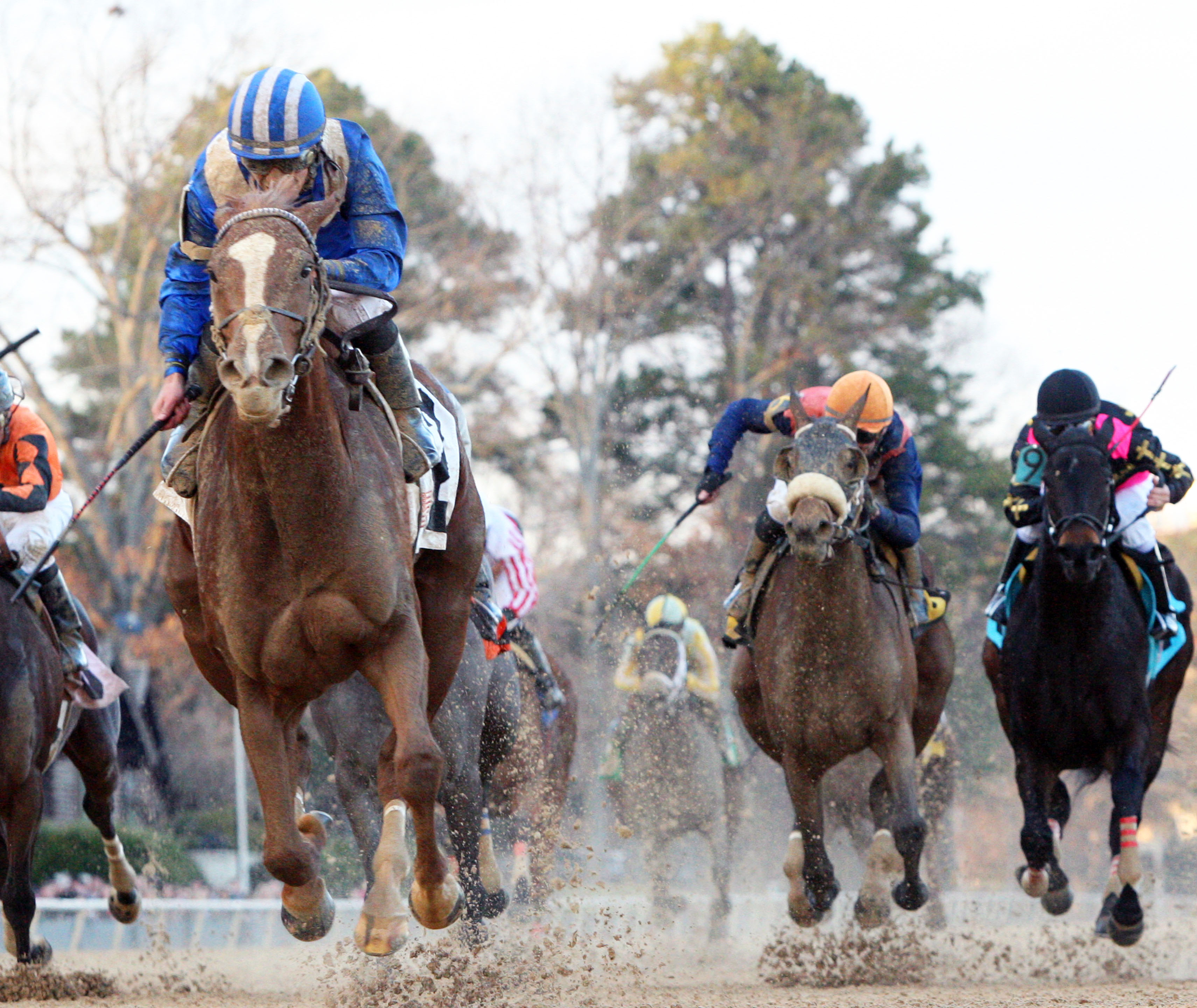 Mufajaah wins the Pippin Stakes