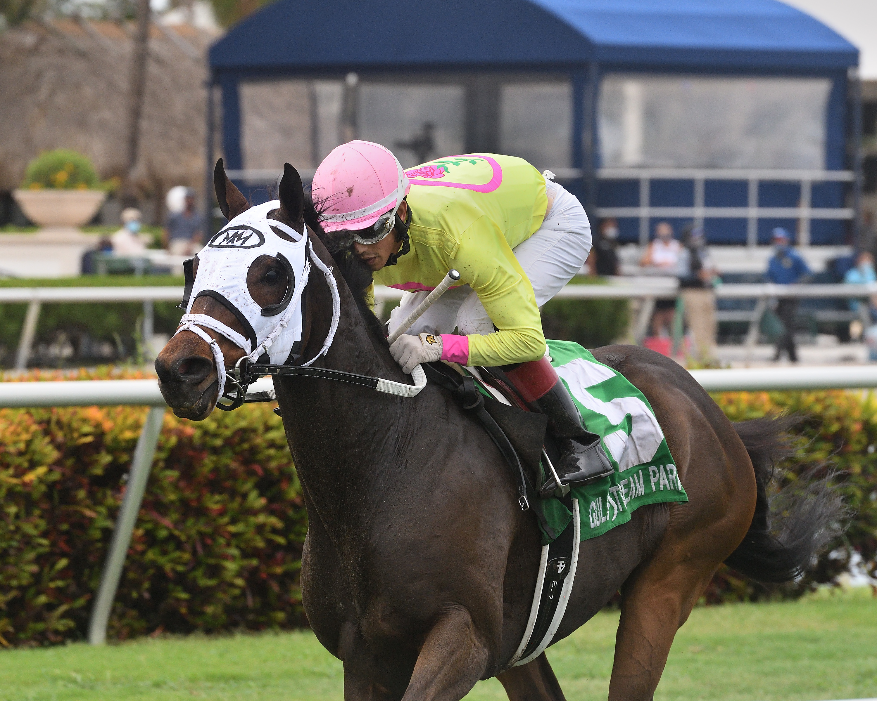 Muggsamatic wins the Soldier's Dancer.6-6-2020