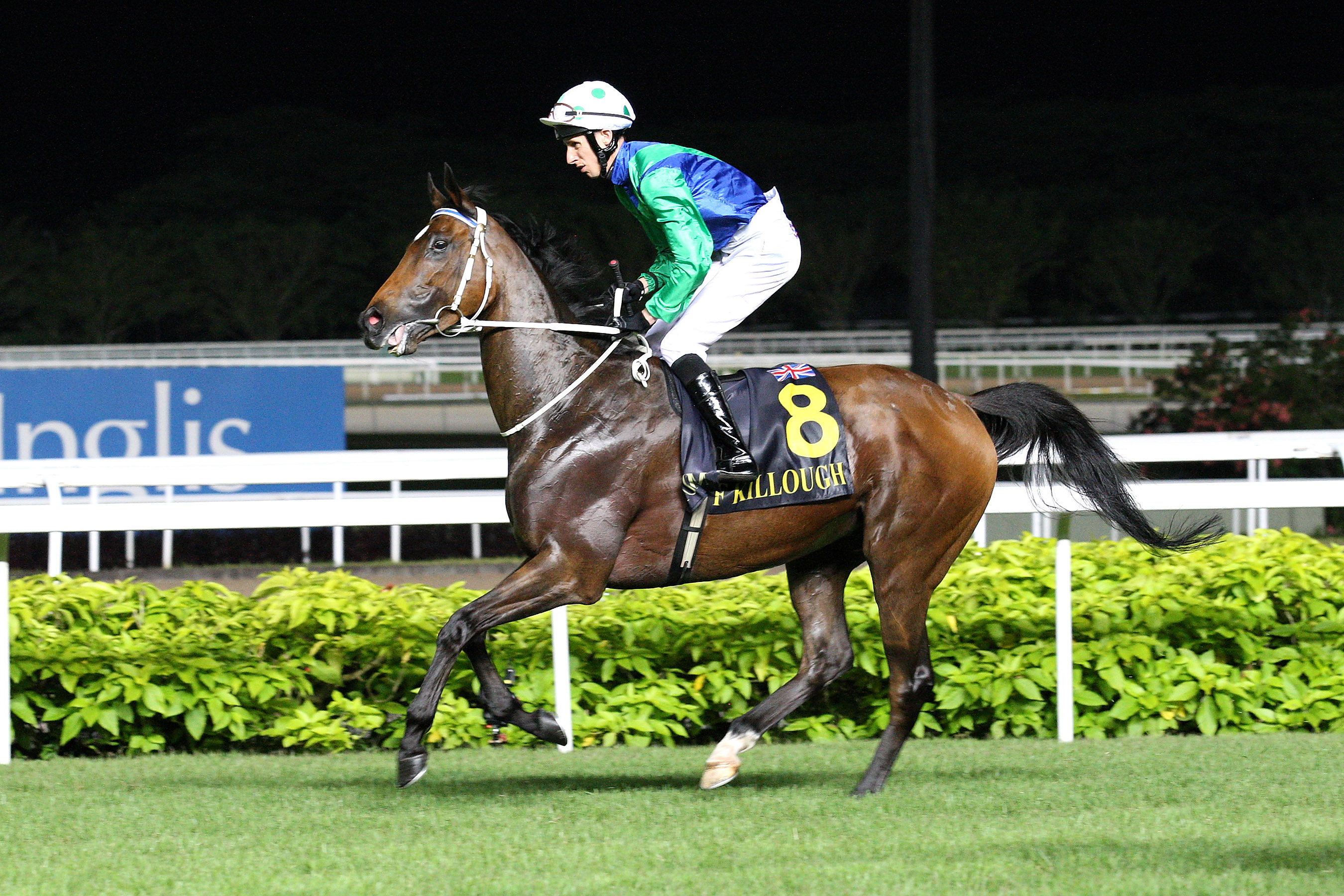 Mull of Killough 5-2013