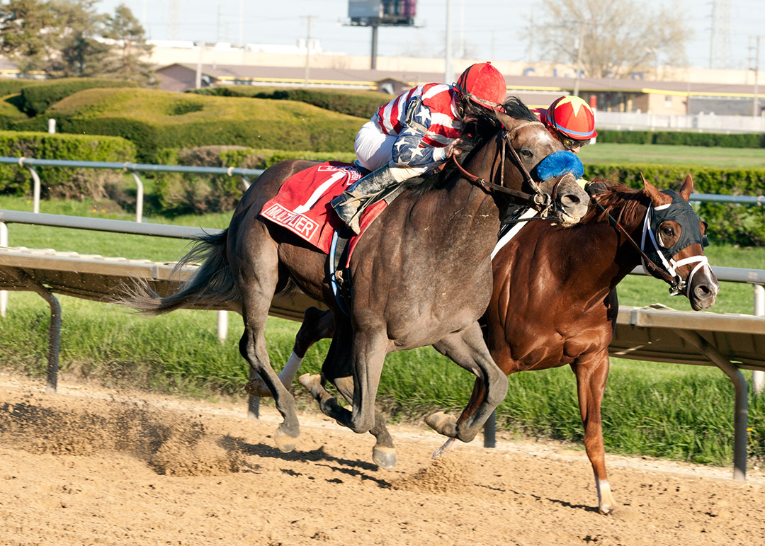 Multiplier (1) wins the 2017 Illinois Derby at Hawthorne