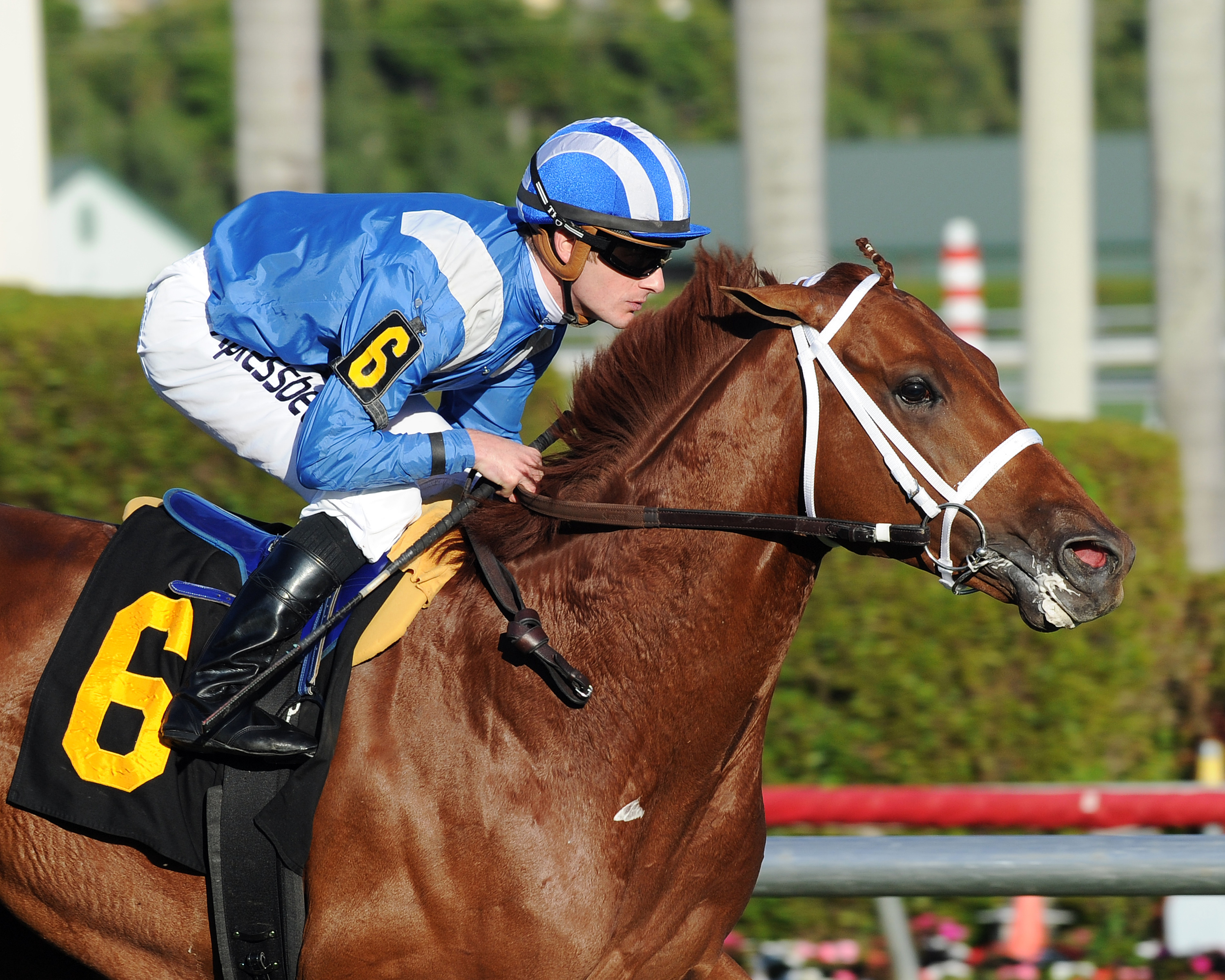 Munjaz wins an allowance race