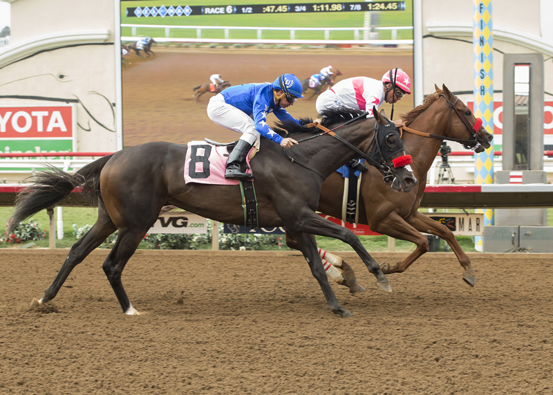 Munny Spunt was declared the winner of the Torrey Pines S. upon the DQ of Zapperkat