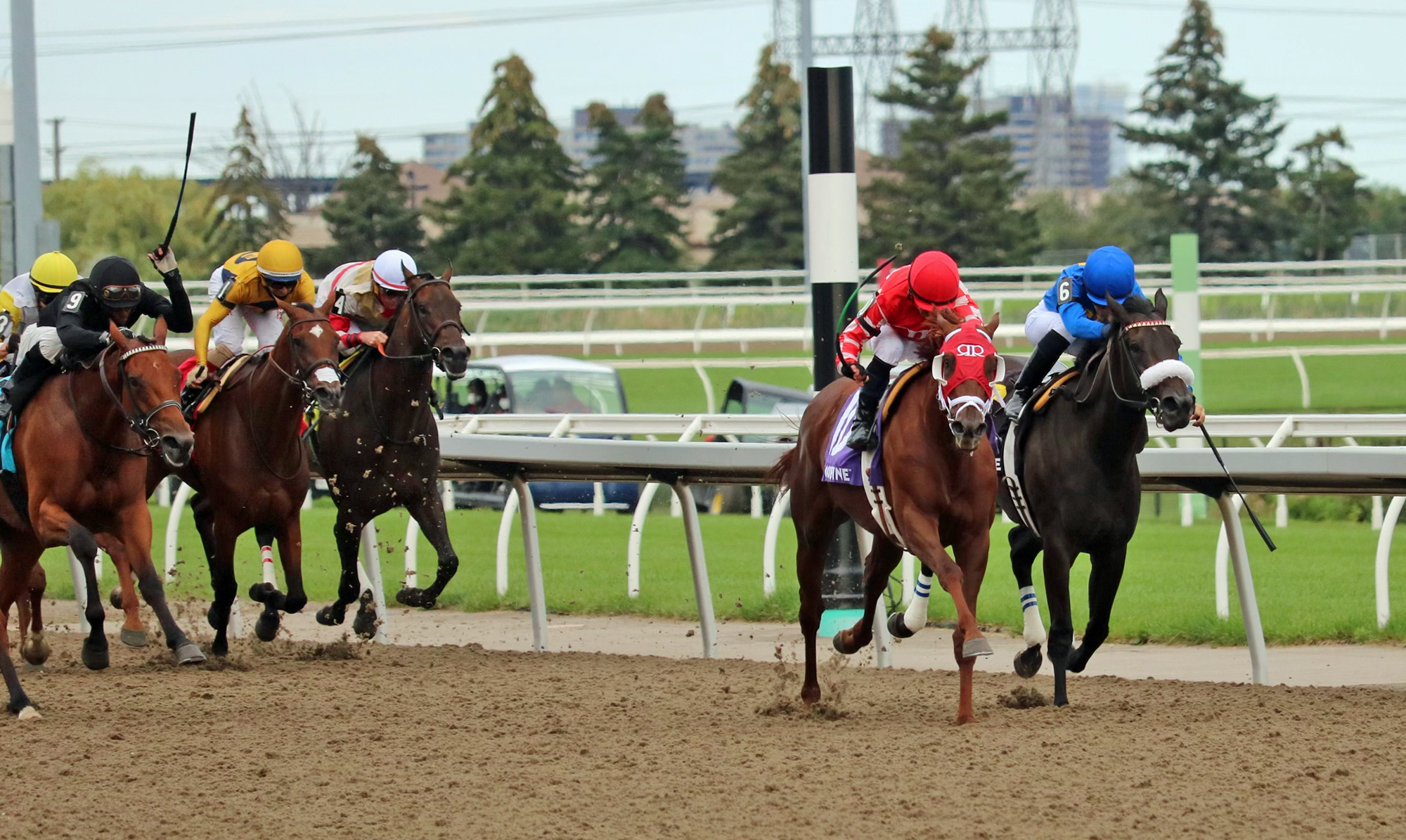 Munnyfor Ro (second from right) wins Woodbine Oaks 8-1-2021