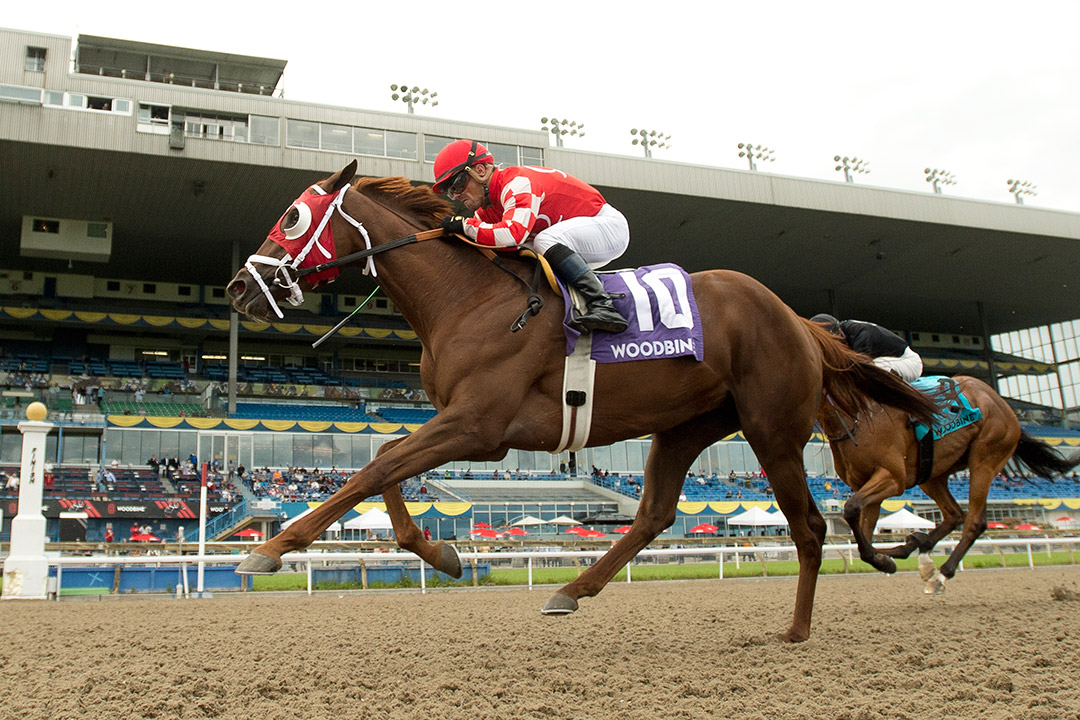 Munnyfor Ro wins the 2021 Woodbine Oaks at Woodbine
