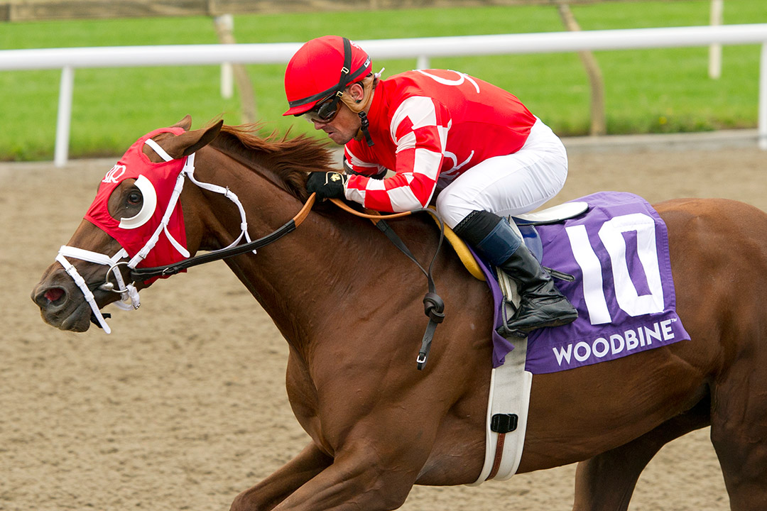 Munnyfor Ro wins the 2021 Woodbine Oaks at Woodbine