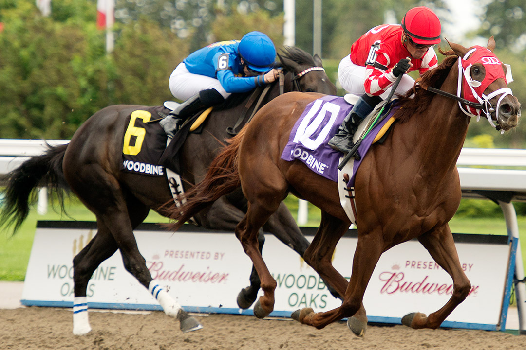 Munnyfor Ro wins the 2021 Woodbine Oaks at Woodbine