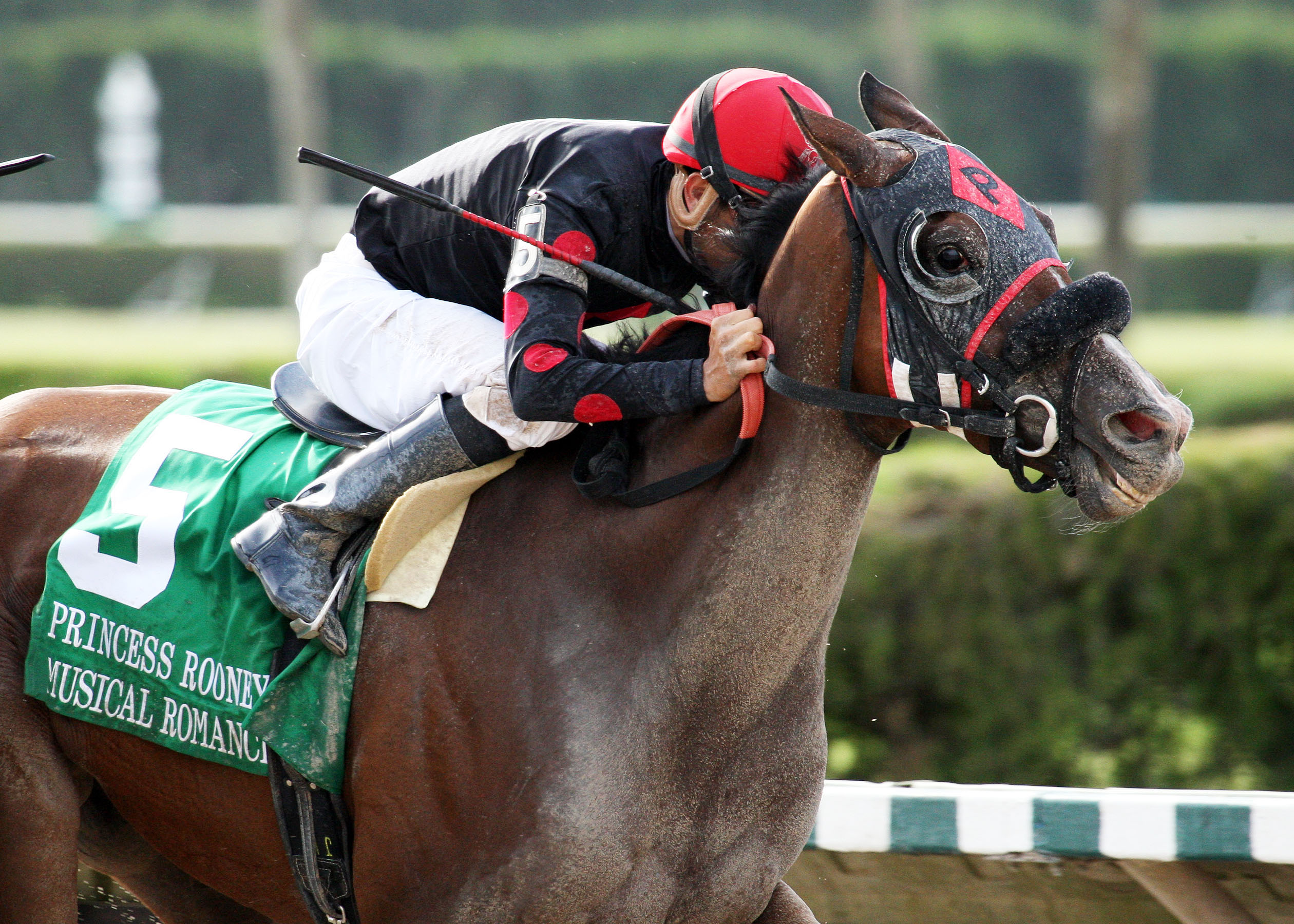Musical Romance/Princess Rooney