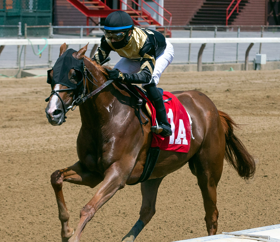 Musical Heart wins an Aug. 8 claiming race at Saratoga Race Course