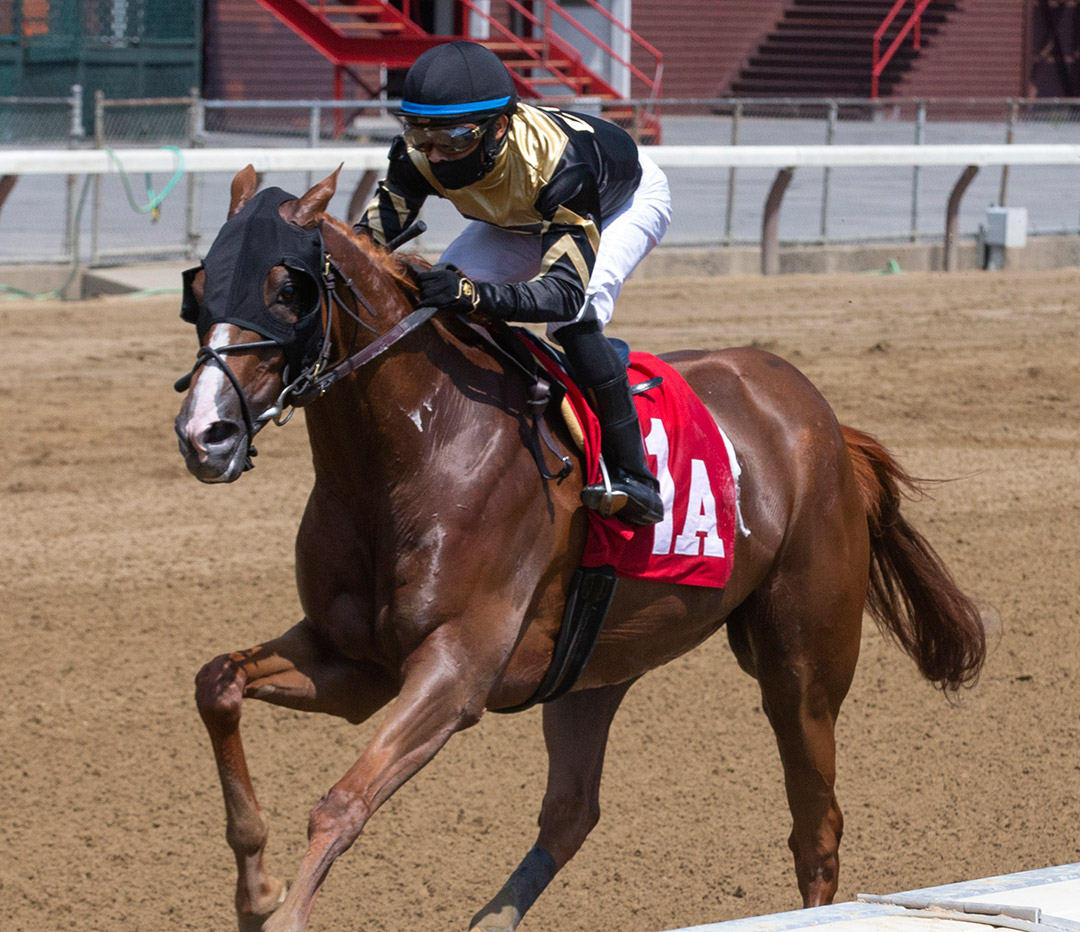 Musical Heart wins an Aug. 8 claiming race at Saratoga