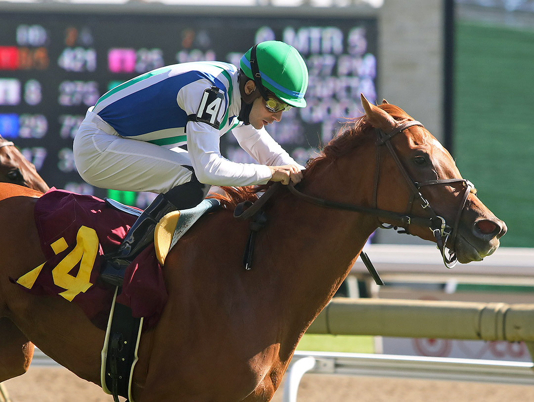 Musical Ride wins a Sept. 18 allowance at Woodbine Racetrack
