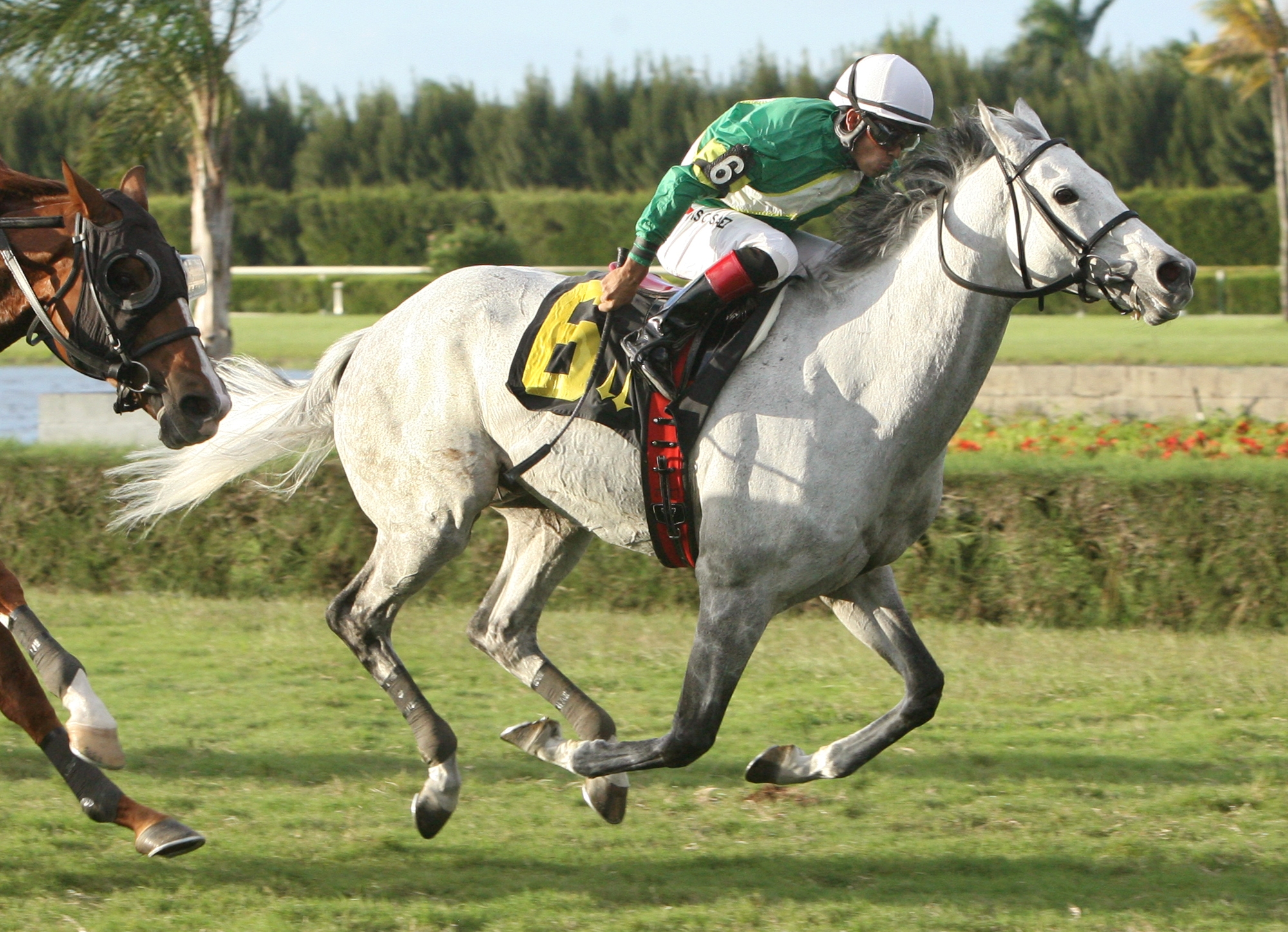 Musketier, W.L. McKnight Handicap