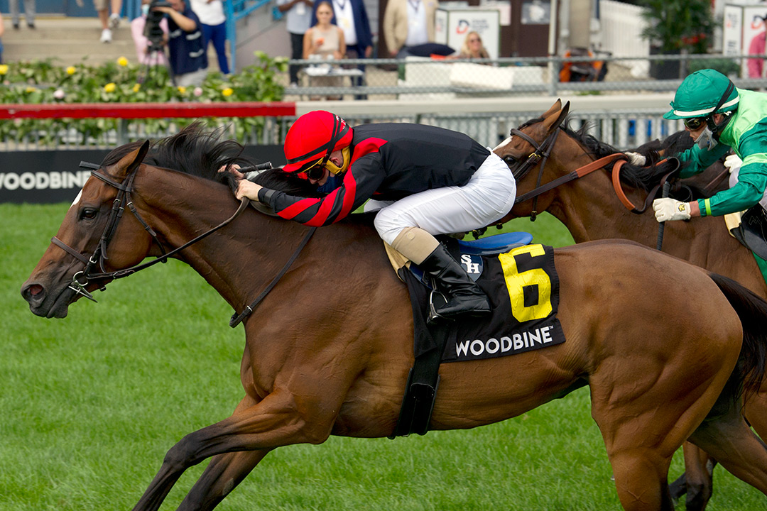 Mutamakina wins the 2021 Dance Smartly Stakes at Woodbine