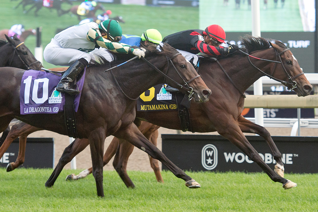 Mutamakina (right) wins the 2021 E .P. Taylor Stakes at Woodbine