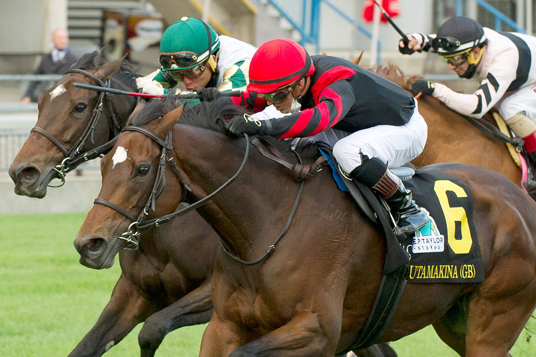 Mutamakina (right) beats La Dragontea (left) to win the 2021 E. P. Taylor at Woodbine