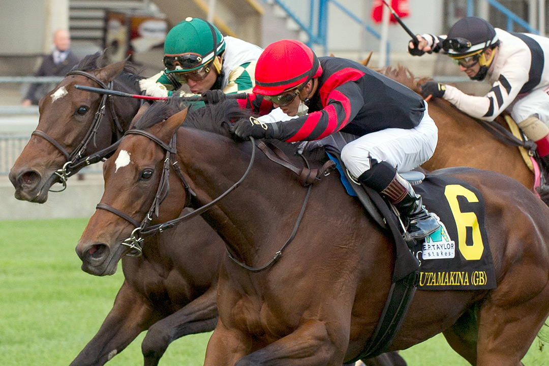 Mutamakina (right) beats La Dragontea to win the E.P. Taylor Stakes at Woodbine
