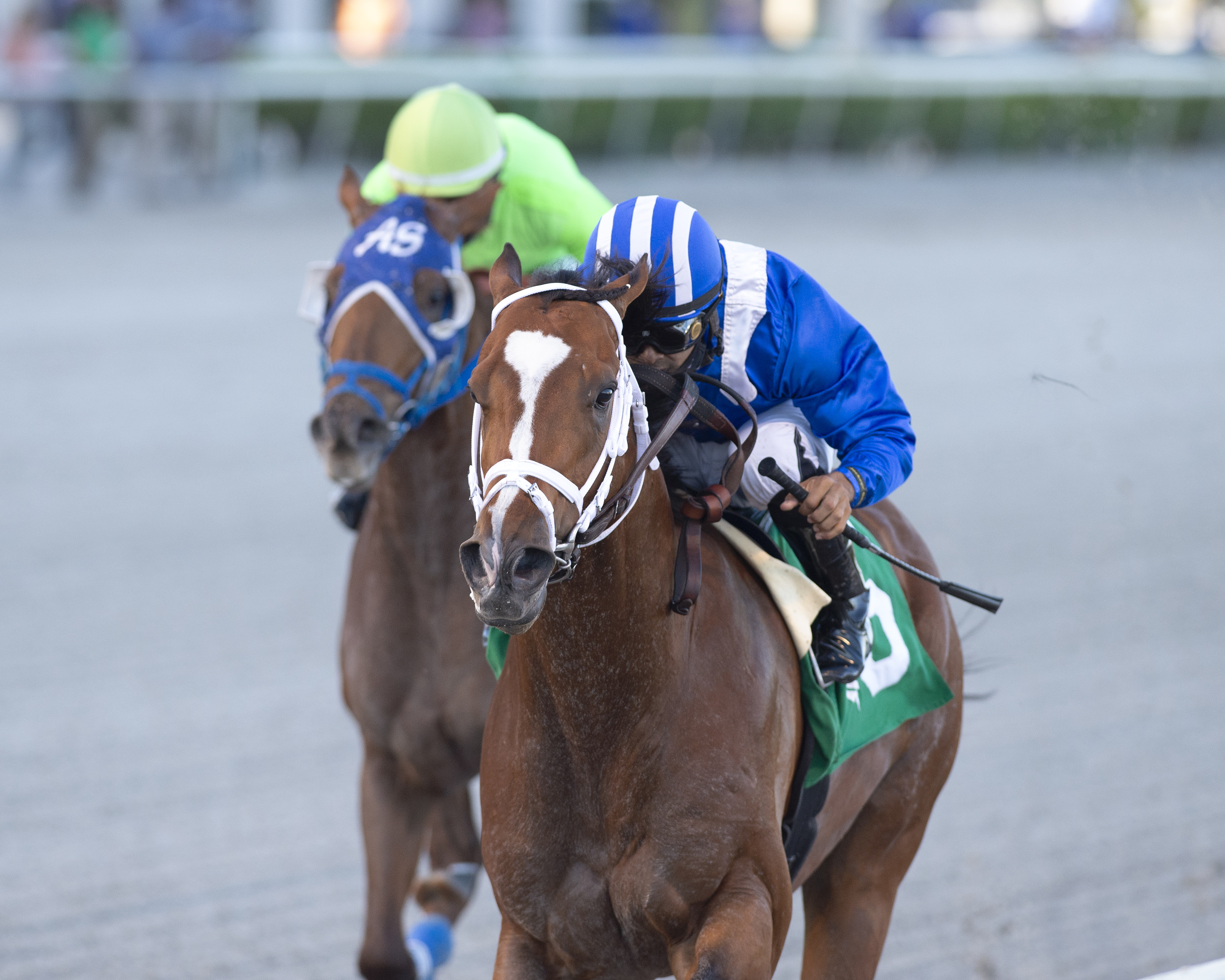 Mutasaabeq wins Mucho Macho Man 1-2-2021
