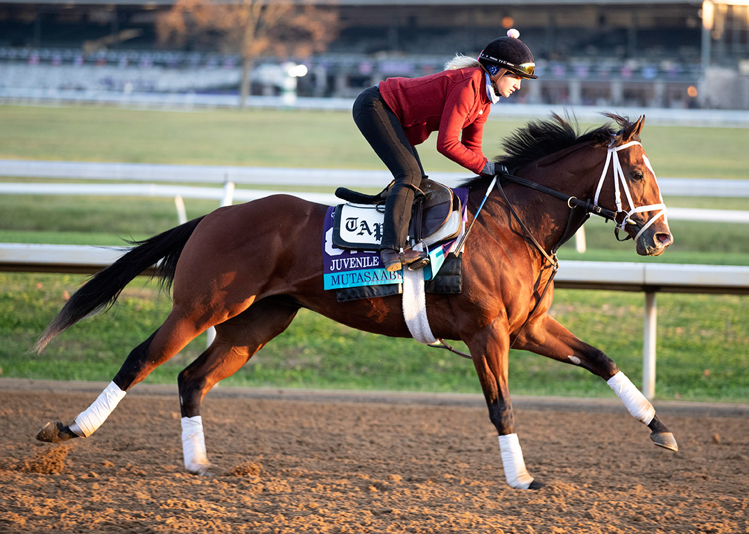 Mutasaabeq trains at Keeneland in November 2020