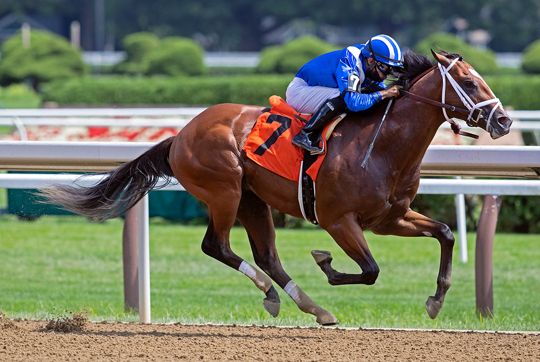 Mutasaabeq wins an Aug. 8 maiden race at Saratoga