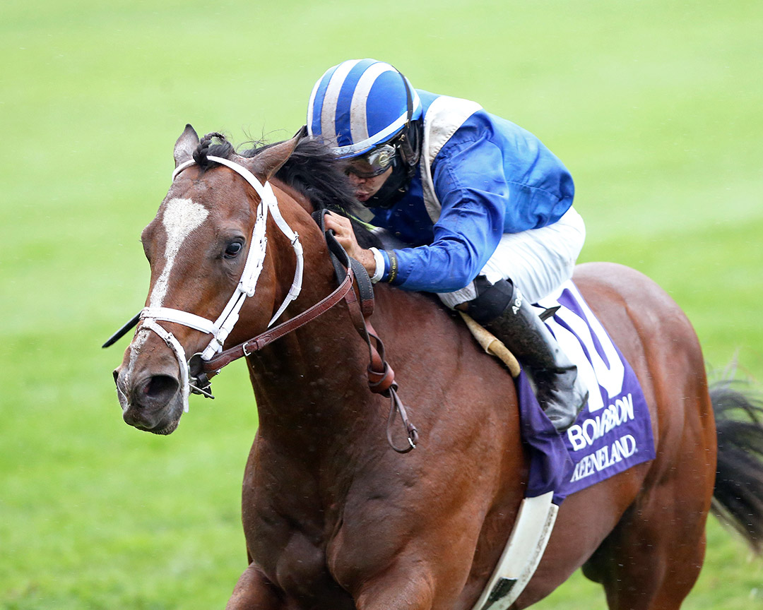 Mutasaabeq wins the 2020 Bourbon Stakes at Keeneland