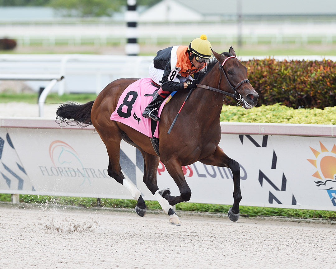 Muted wins a Sept. 3 maiden race at Gulfstream Park