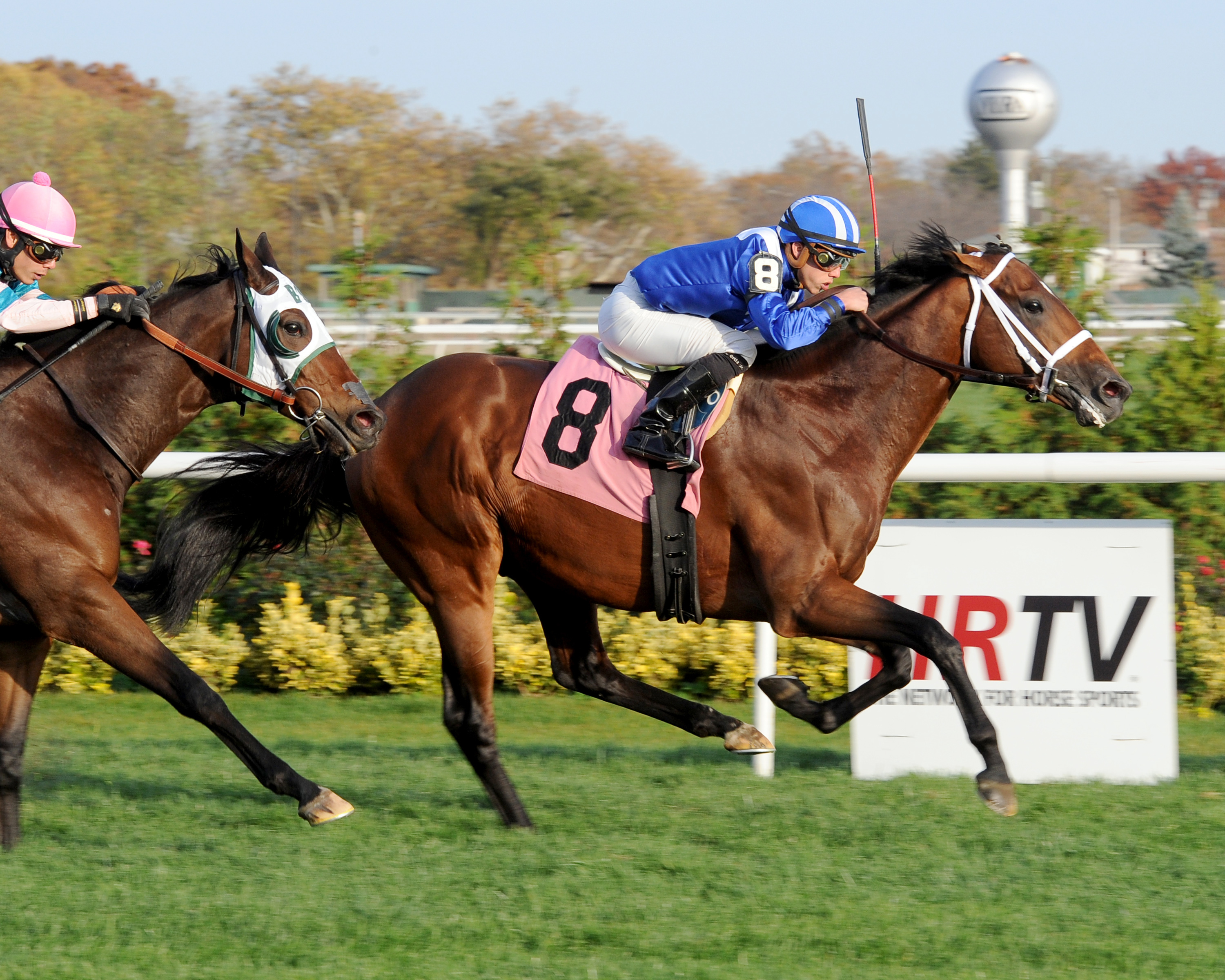 Mutin wins an allowance race