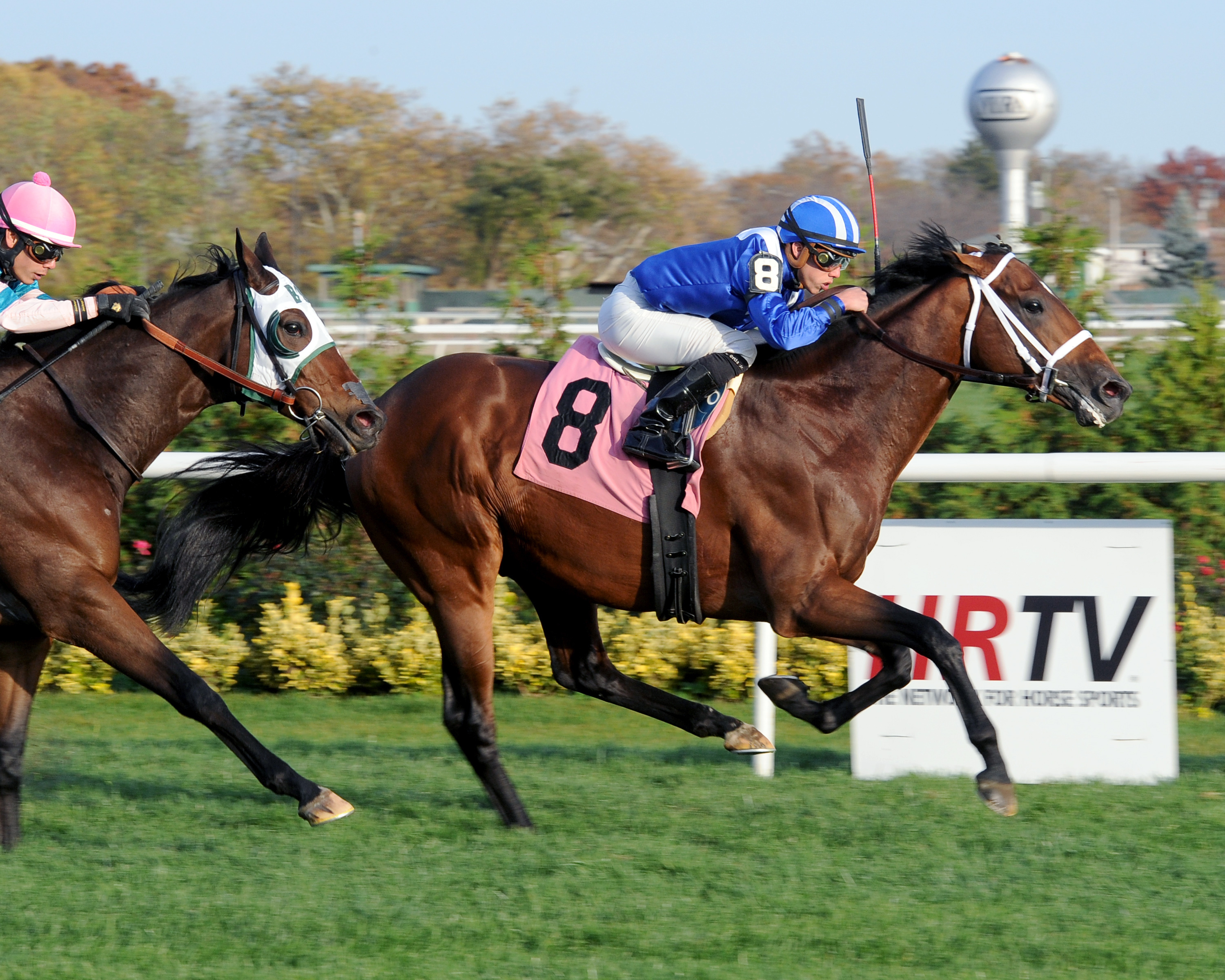 Mutin wins an allowance race at Aqueduct