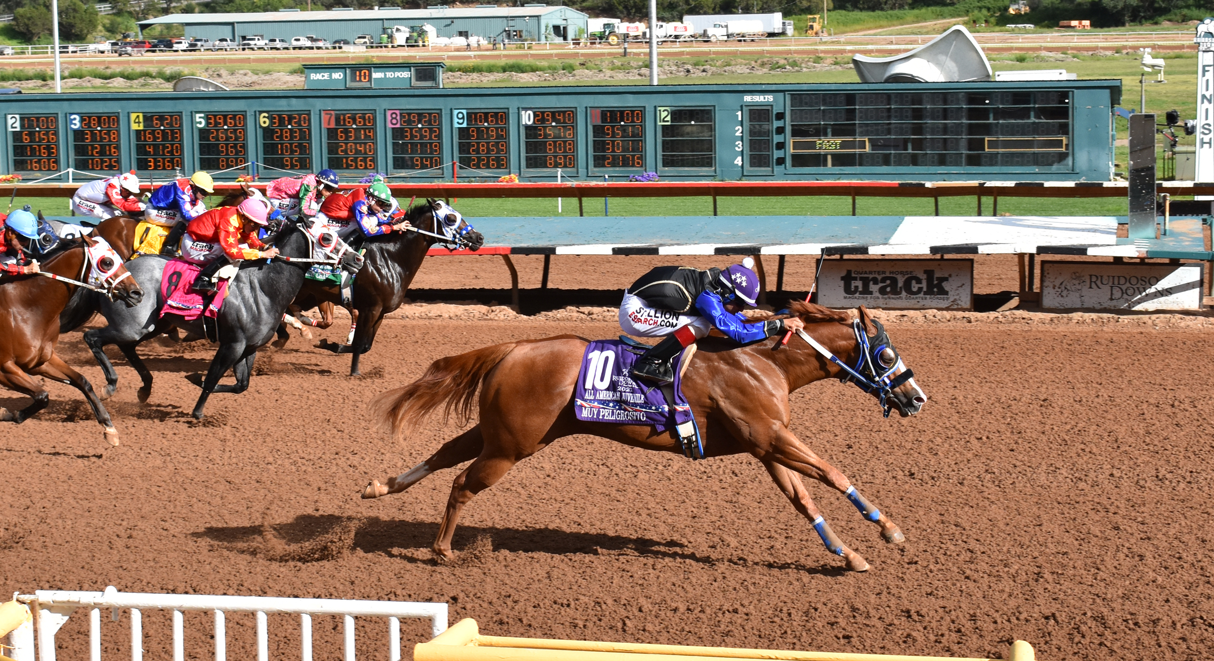 Muy Peligrosito wins the All American Juvenile at Ruidoso Sept 6 2021