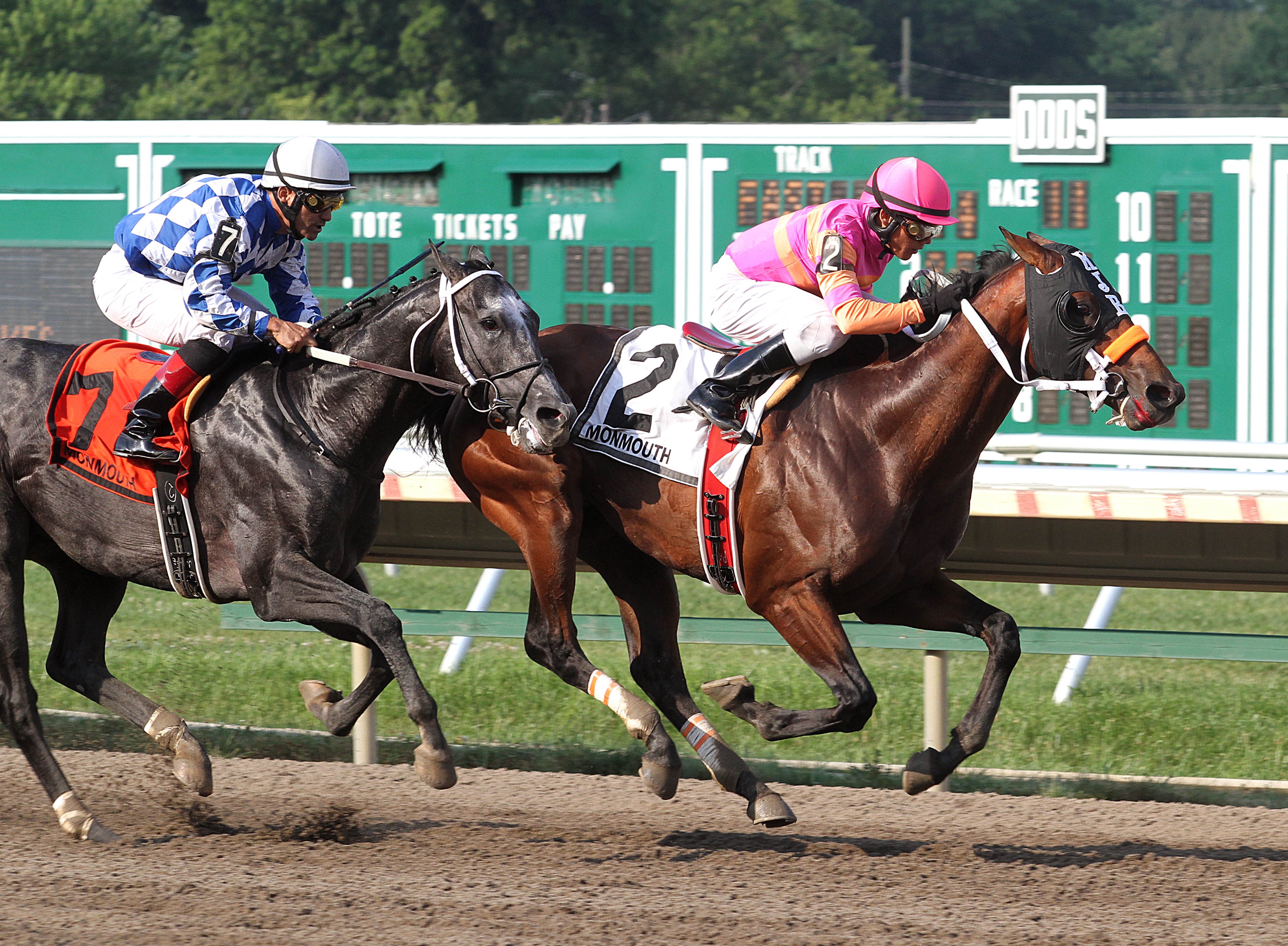 Macho Macho/(second in) Long Branch