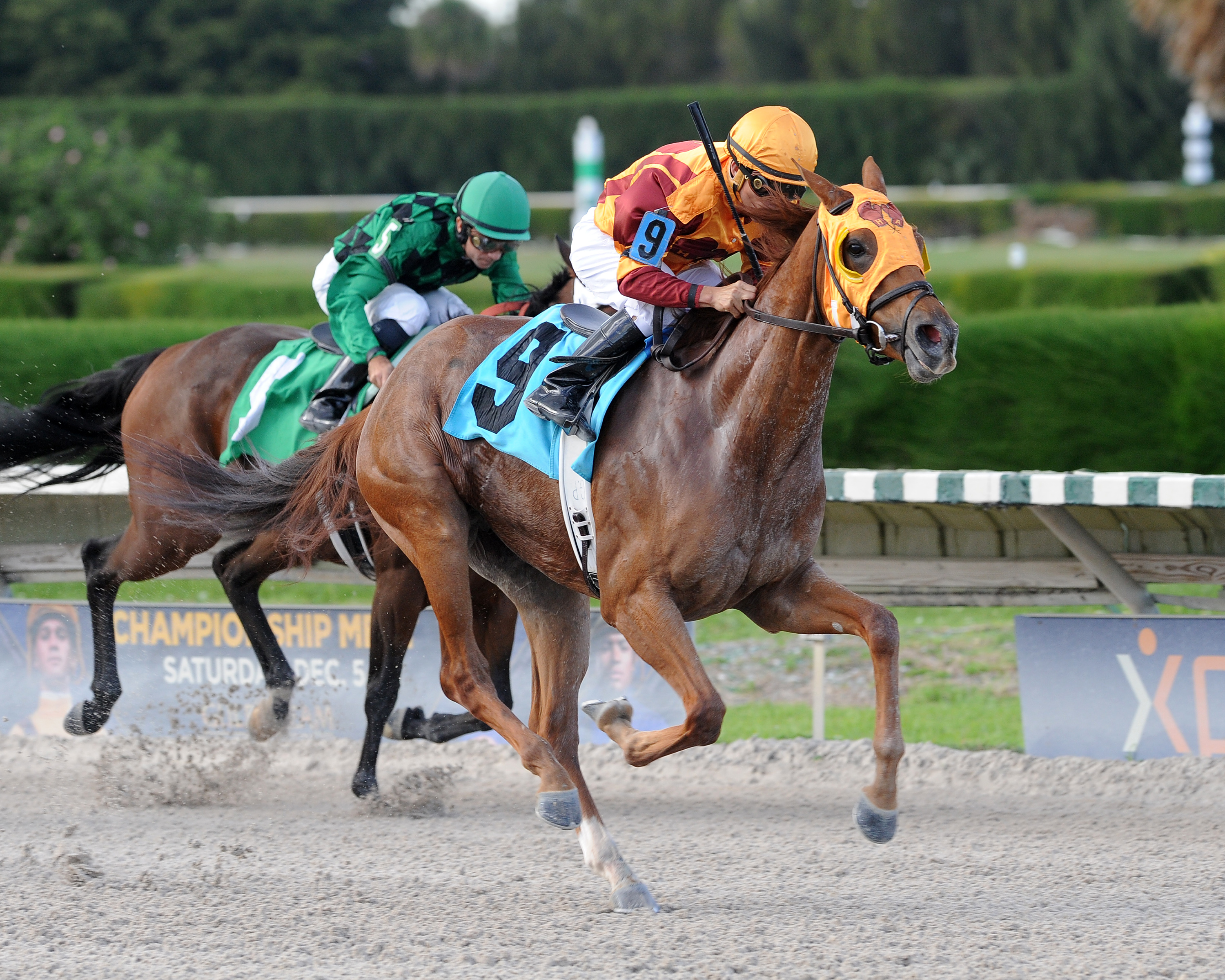 My Awesome Mom wins an allowance optional claiming race on Nov. 26