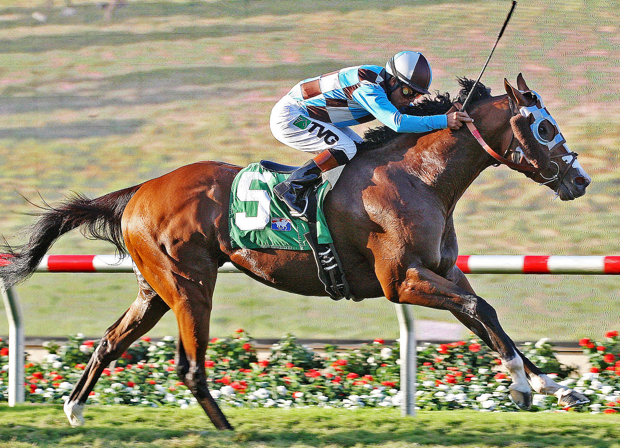 My Best Brother wins the 2012 Del Mar Derby