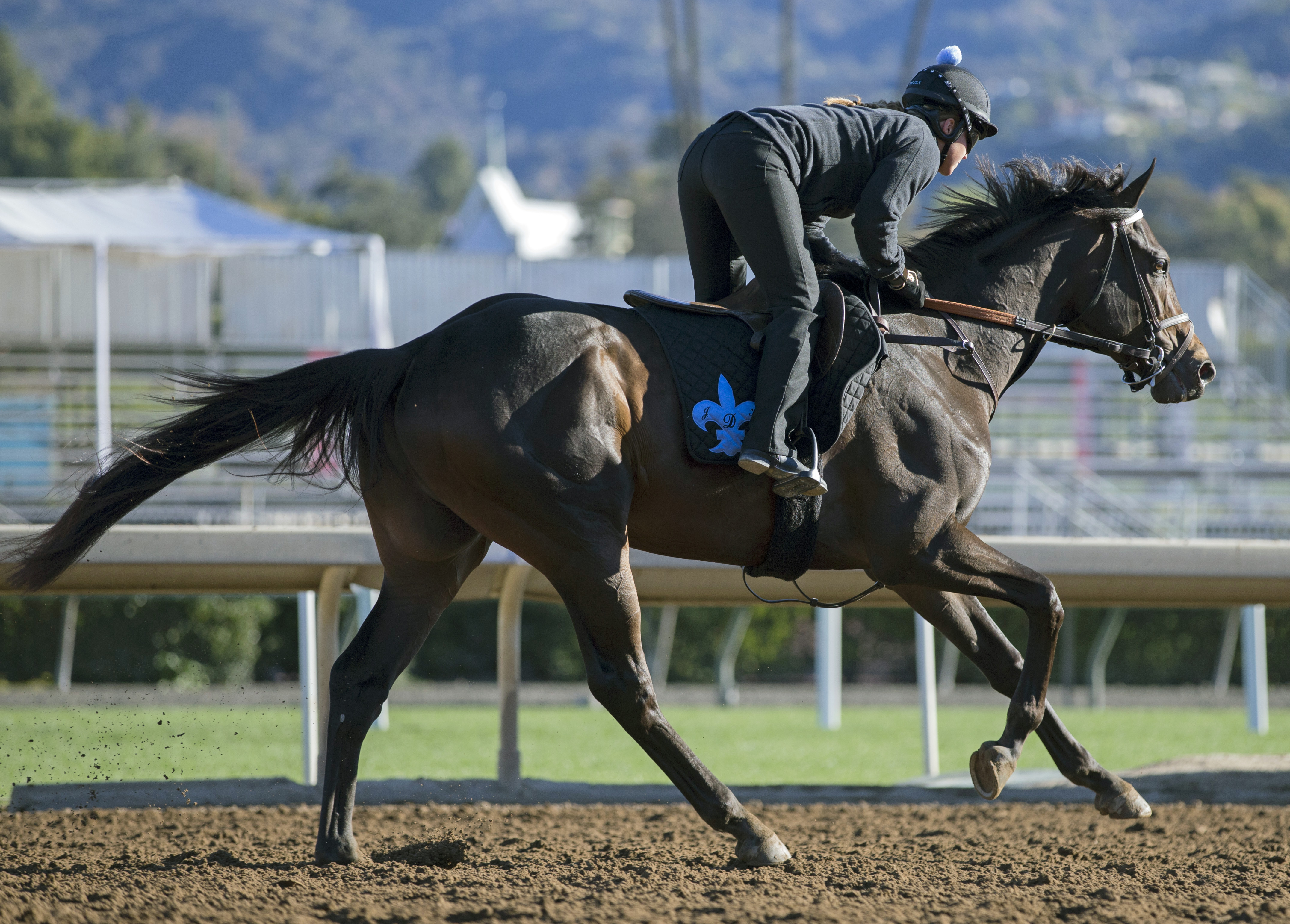 My Boy Jack trains at Santa Anita on March 5