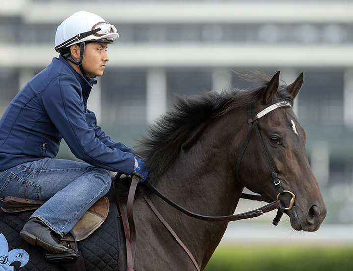 My Boy Jack at Churchill in April 2019