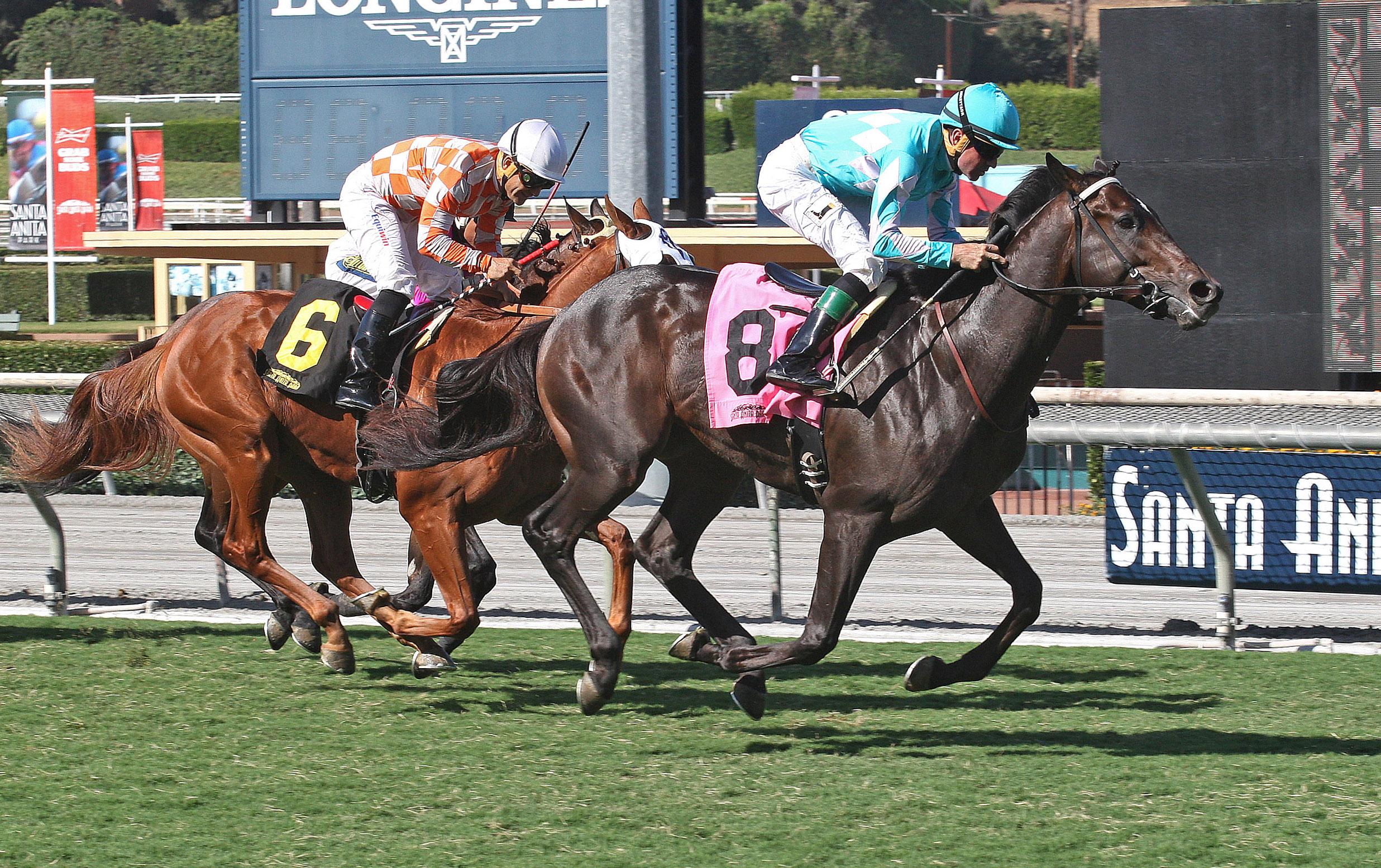 My Boy Jack wins the Zuma Beach Stakes