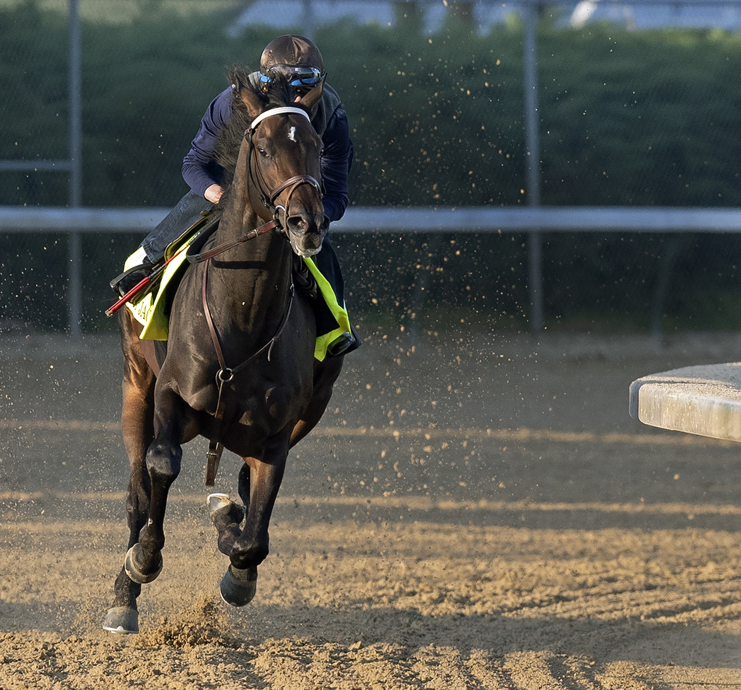 My Boy Jack trains at Churchill on April 28