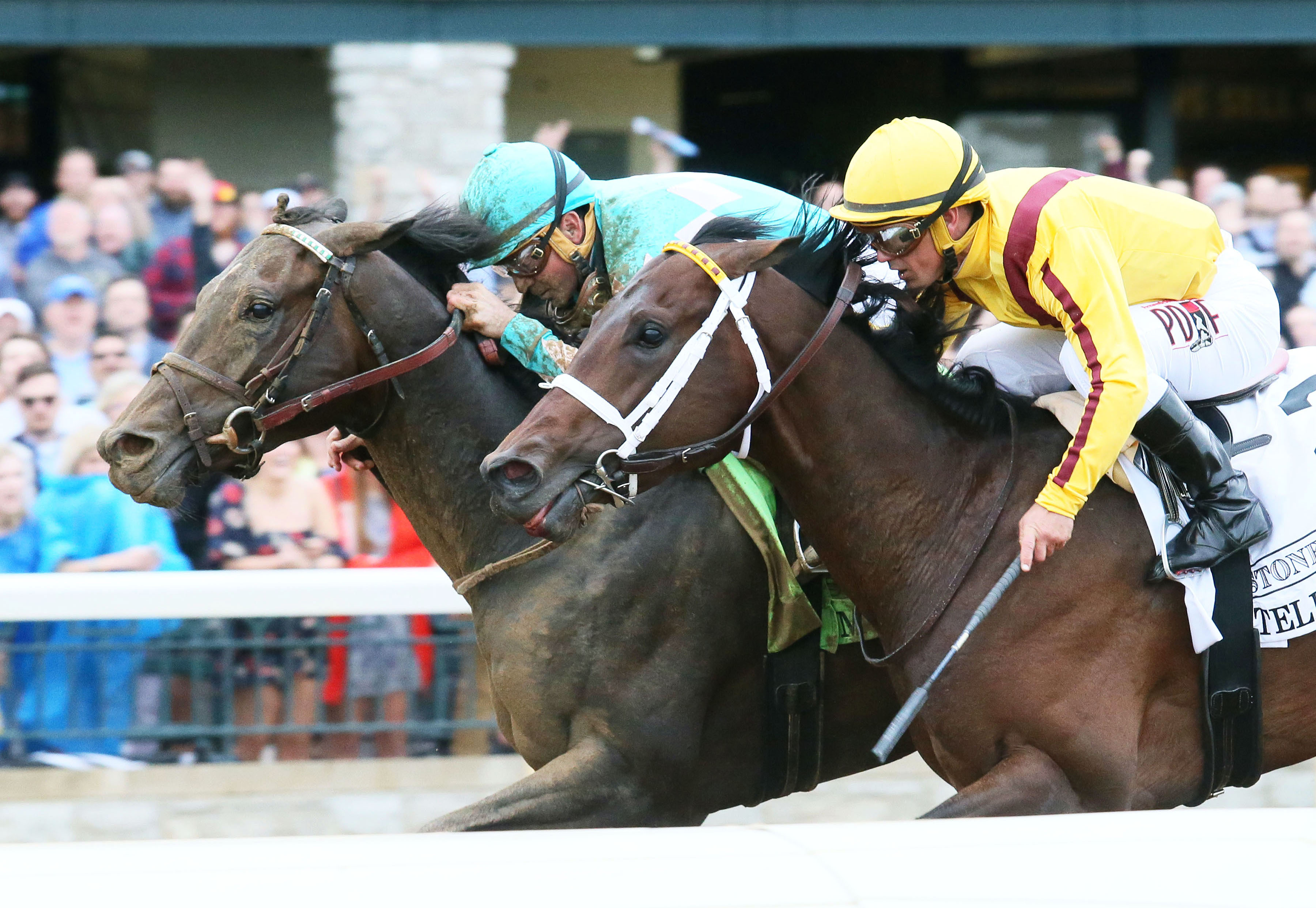 My Boy Jack wins the 2018 Lexington Stakes