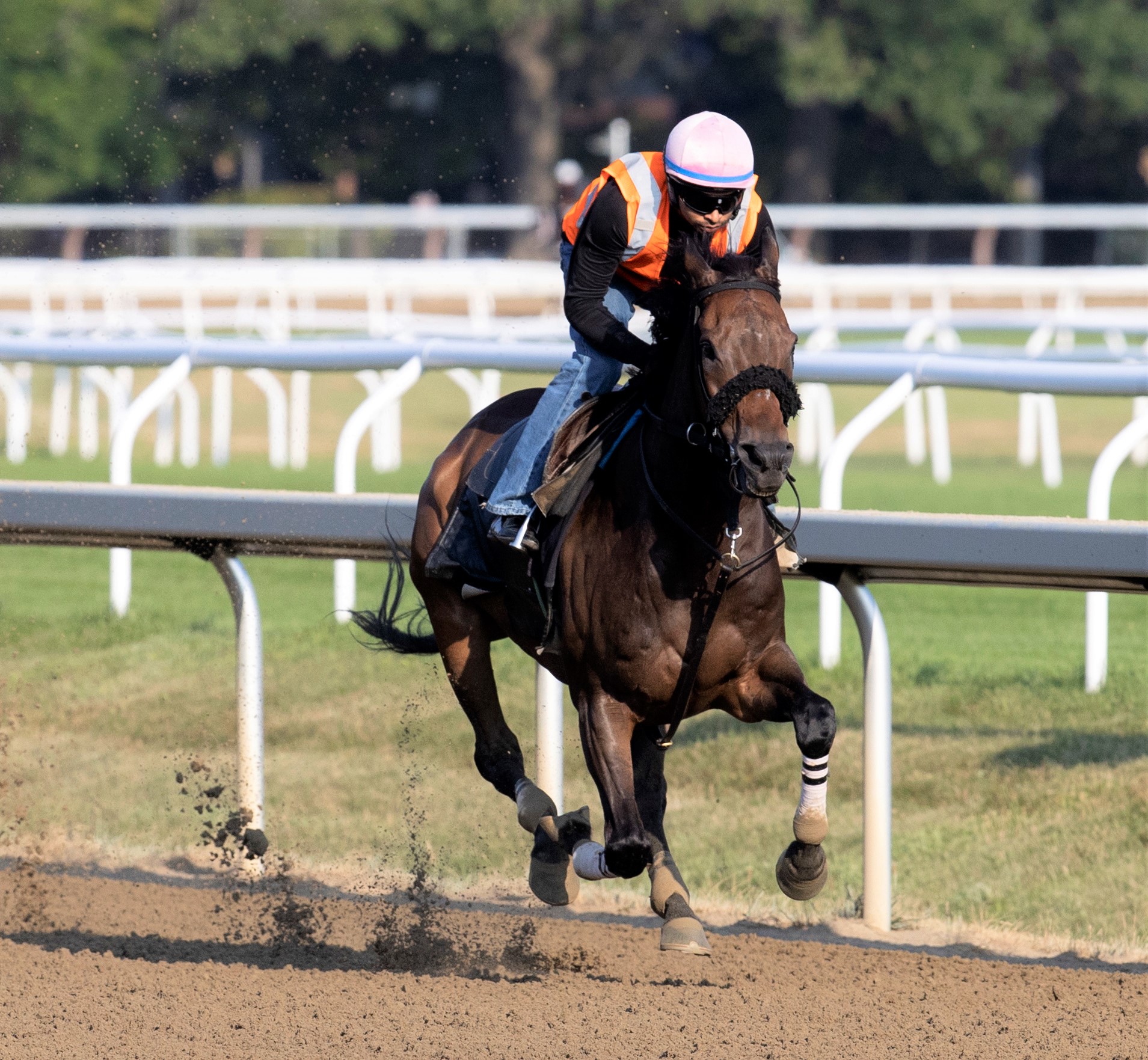 My Boy Tate breezes at Saratoga July 17 2022