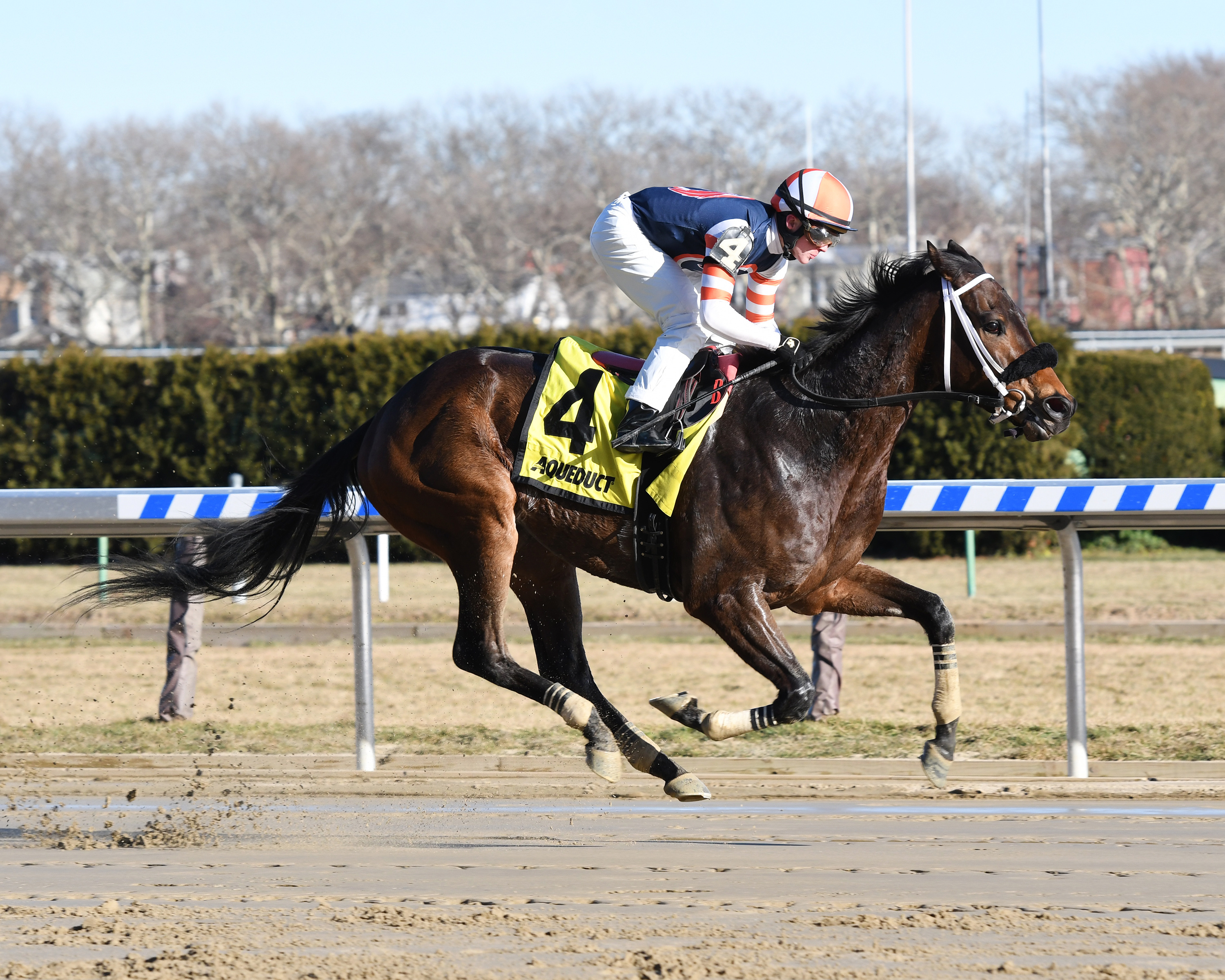 My Boy Tate wins the Say Florida Sandy Stakes