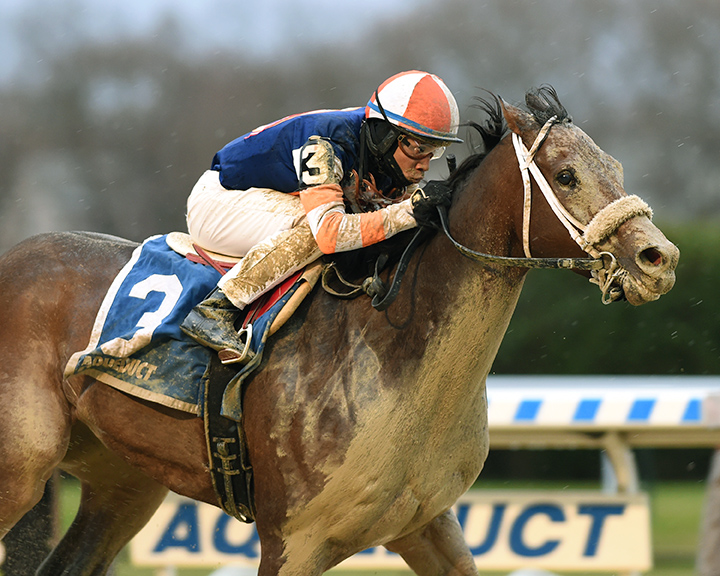 My Boy Tate wins the 2019 Thunder Rumble Stakes at Aqueduct Racetrack
