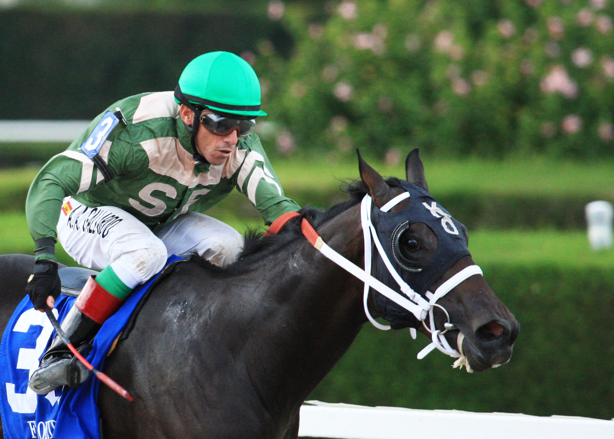 My Brown Eyed Guy, Florida Stallion Stakes