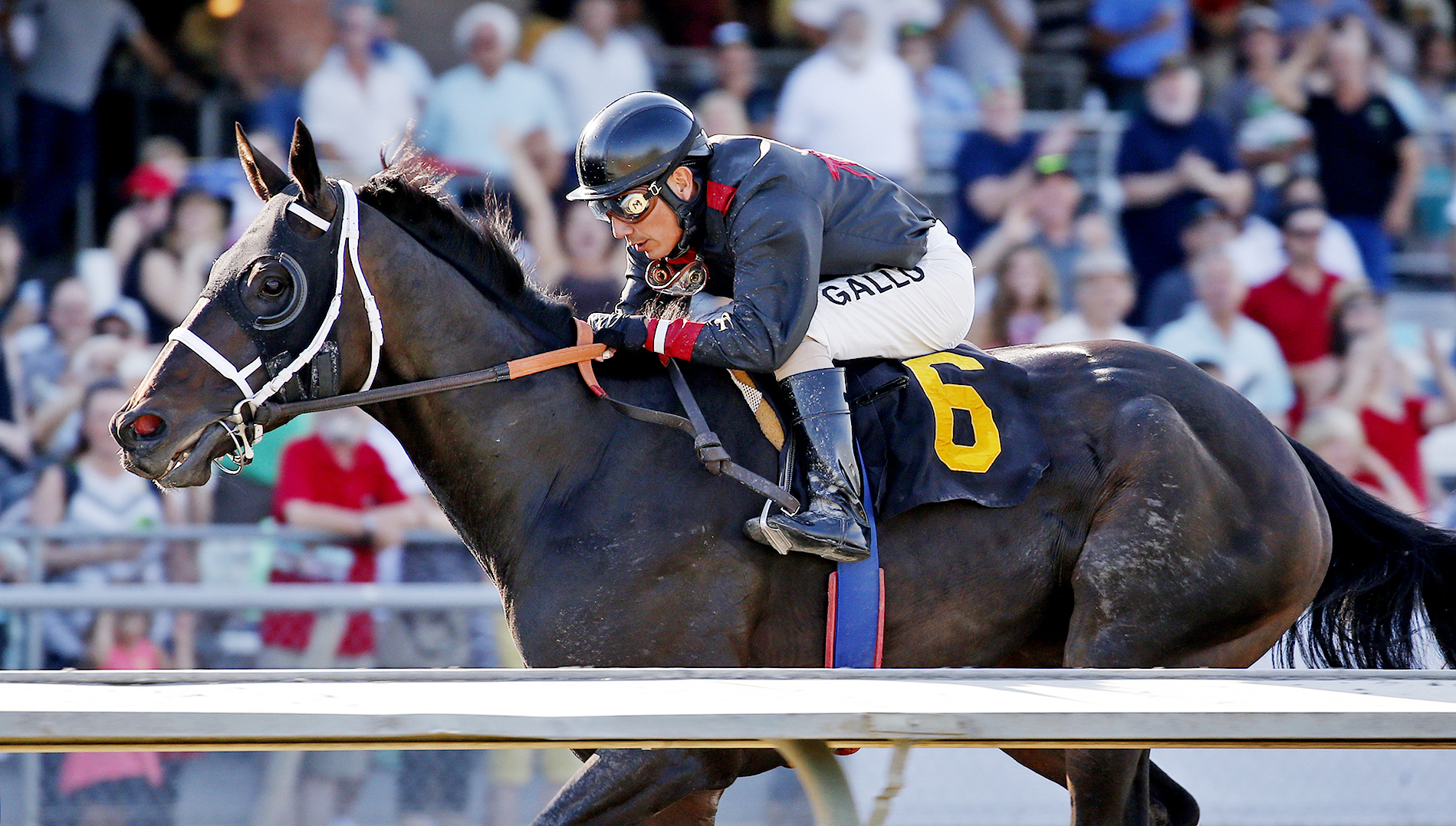 My Chief wins a claiming race on Aug. 20, 2016