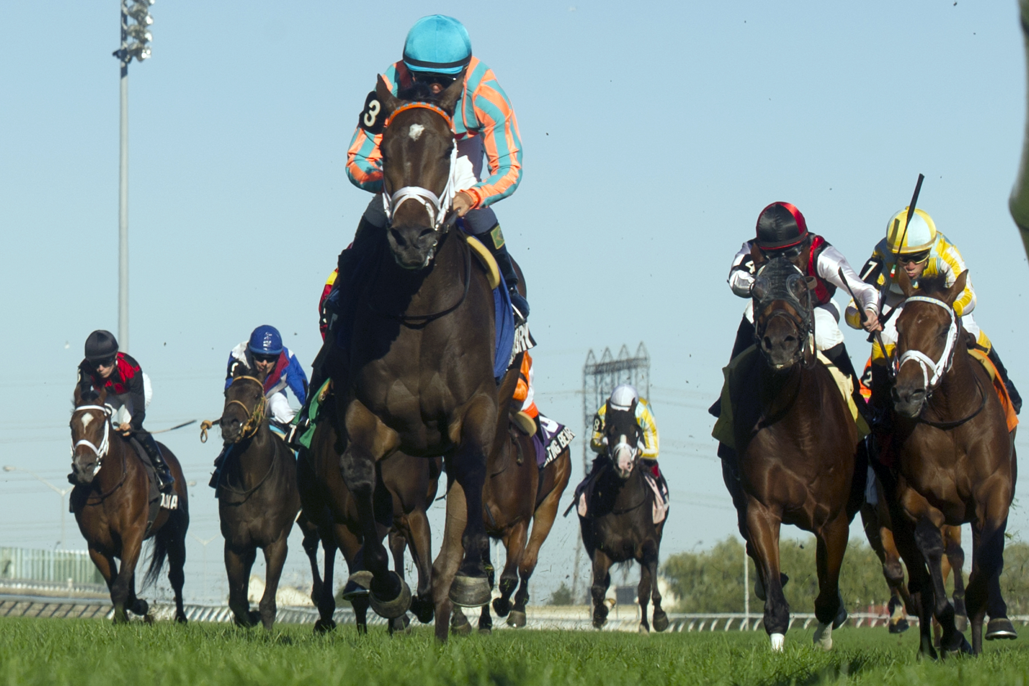My Conquestadory wins the Summer Stakes