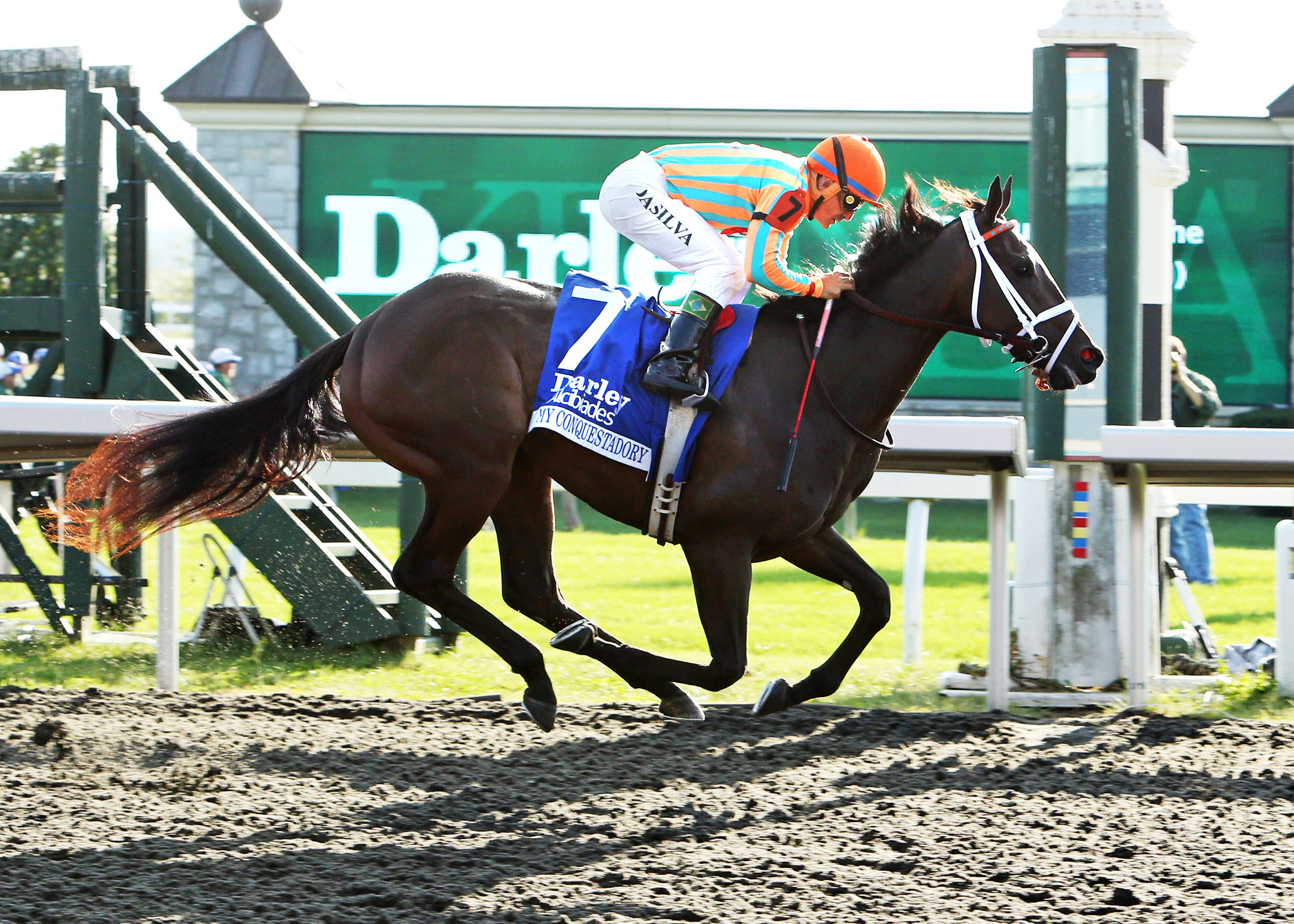 My Conquestadory wins the Alcibiades